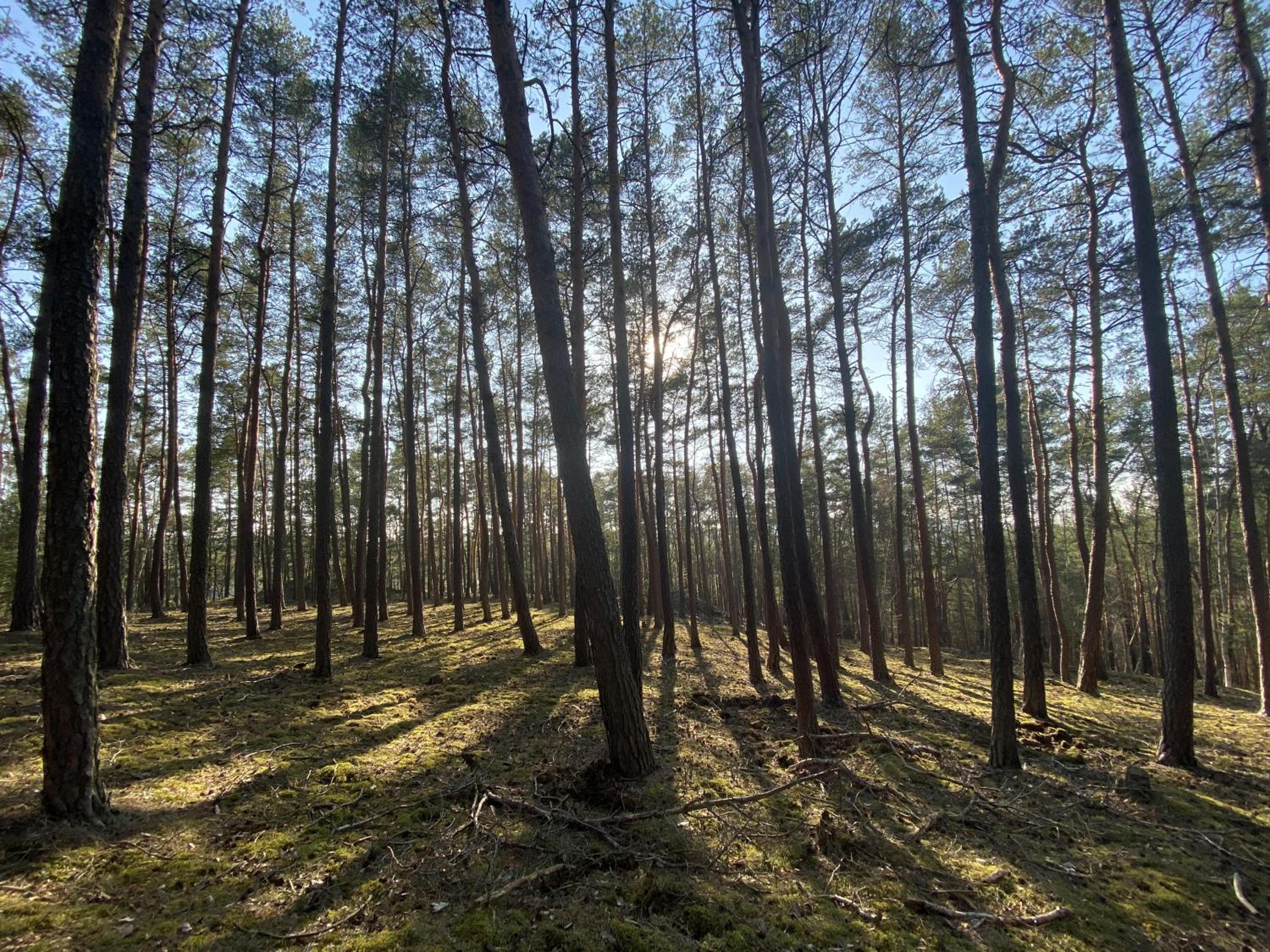Photo 25