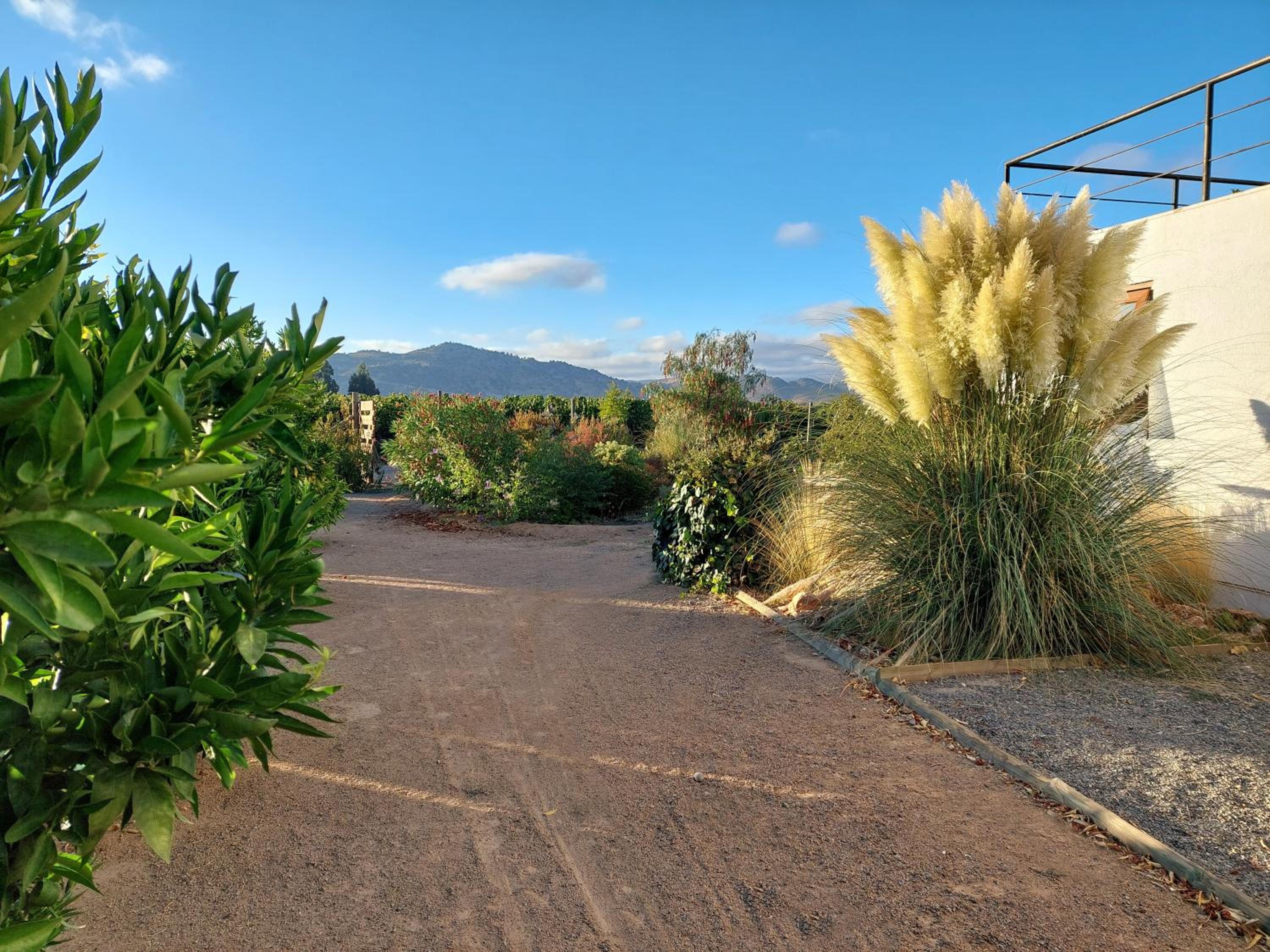 Callihue Lodge