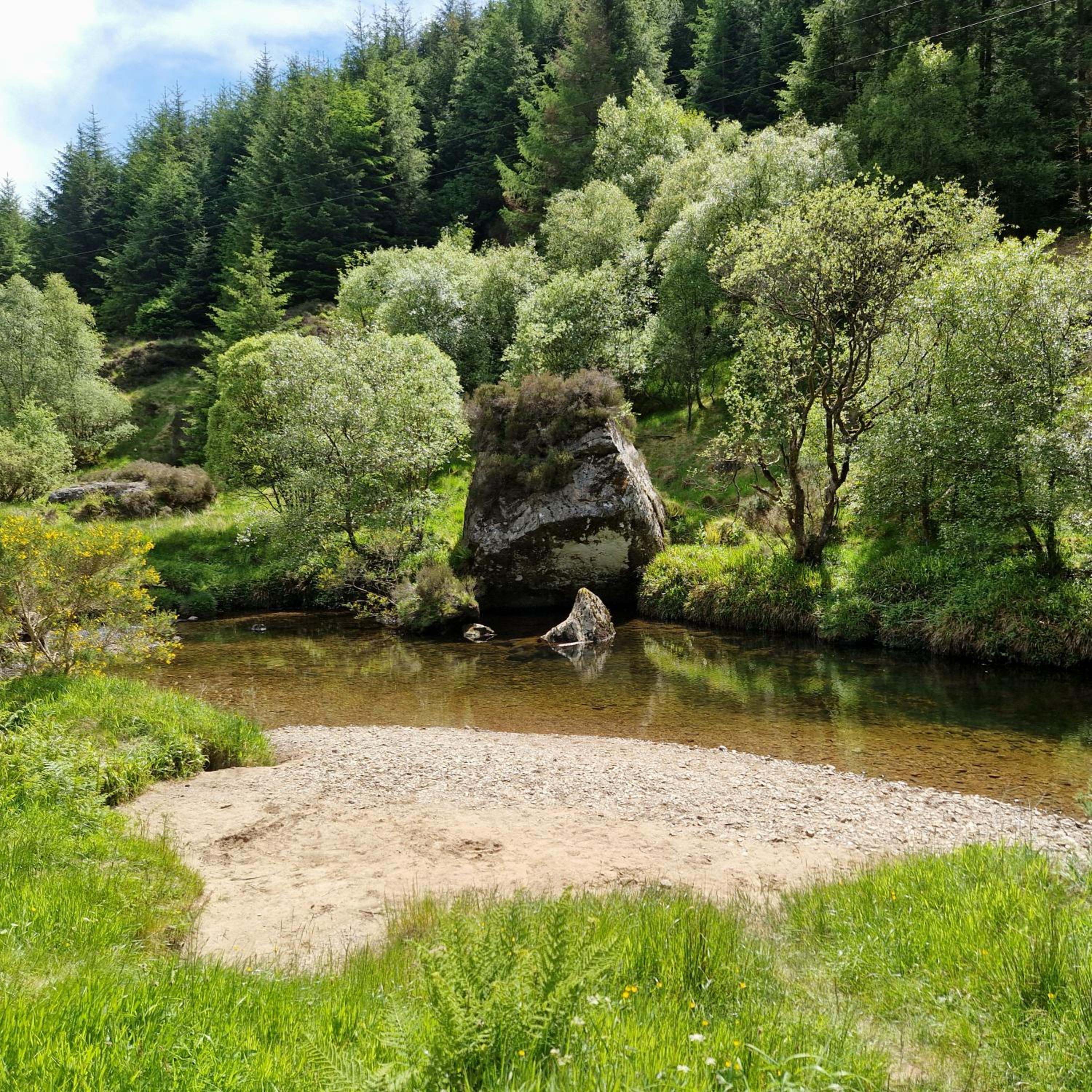 Photo 42