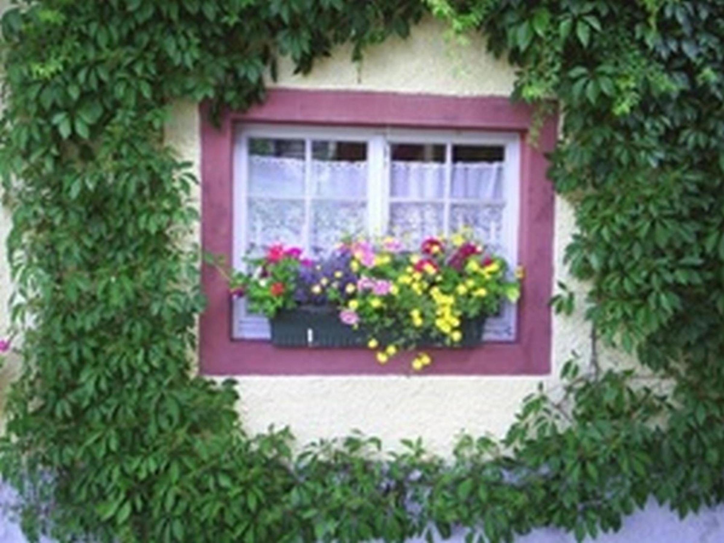 Pension Sonne view 2