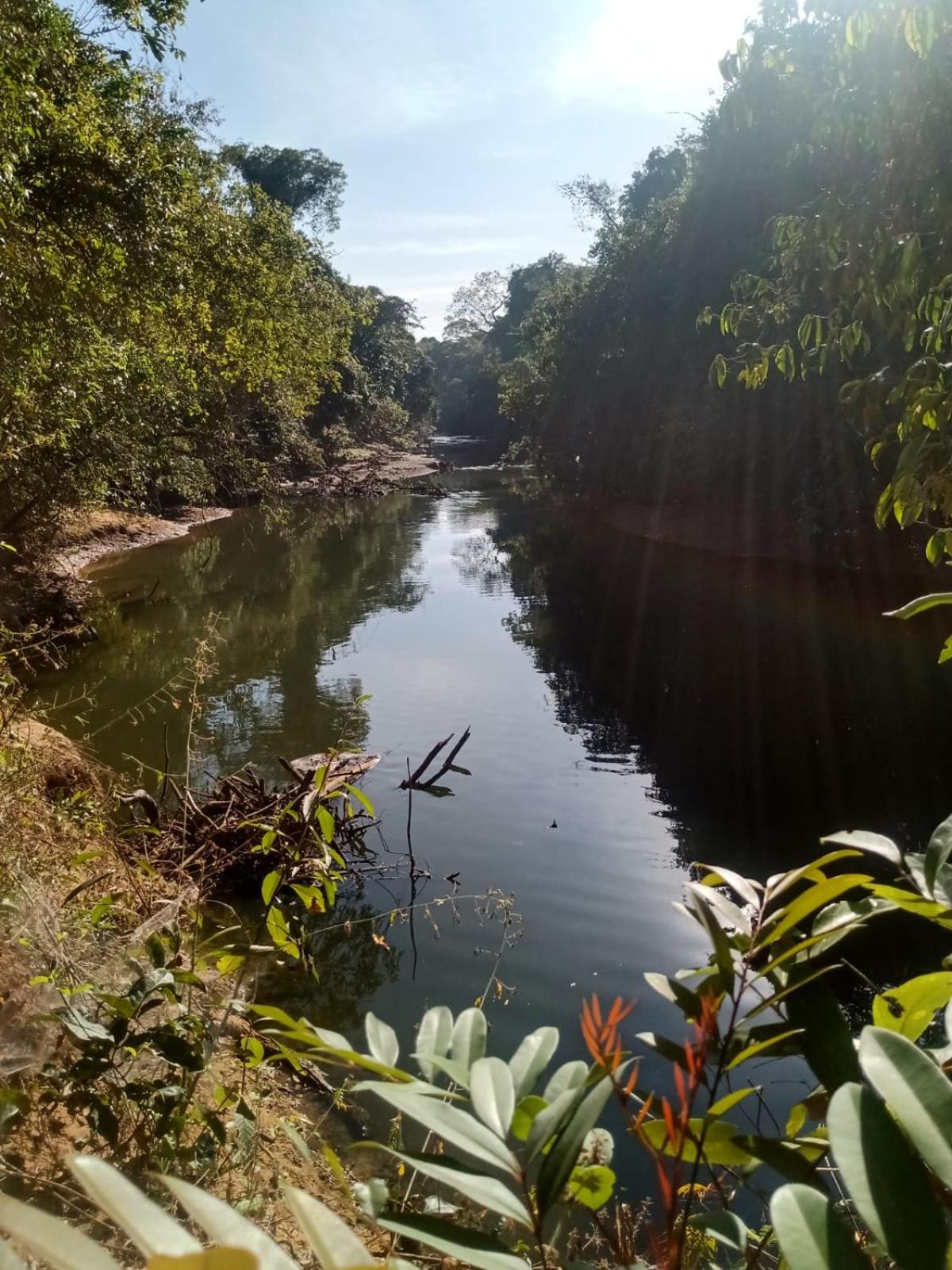 Casa confortável, pertinho da cidade e conectada a natureza