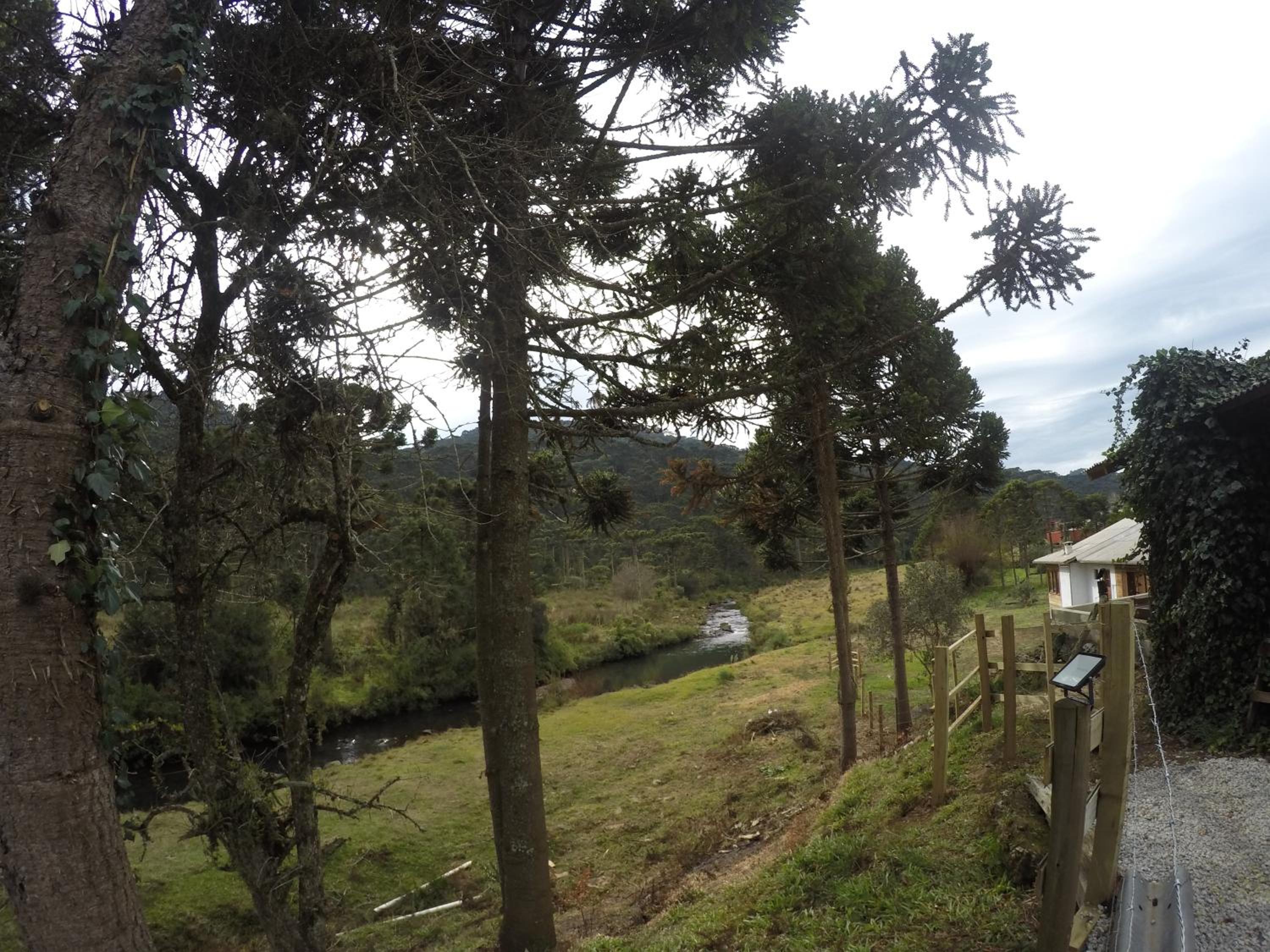 Casa Cochilo do Vô Tadeu