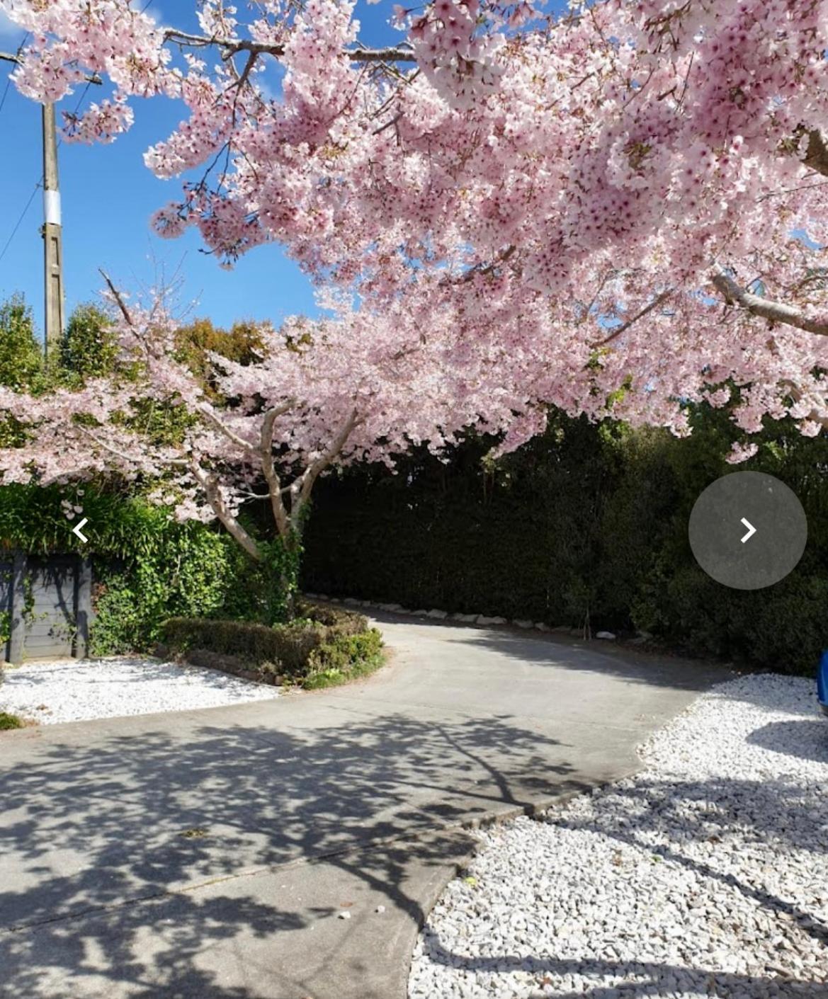 Waitomo Orchard Estate B&B