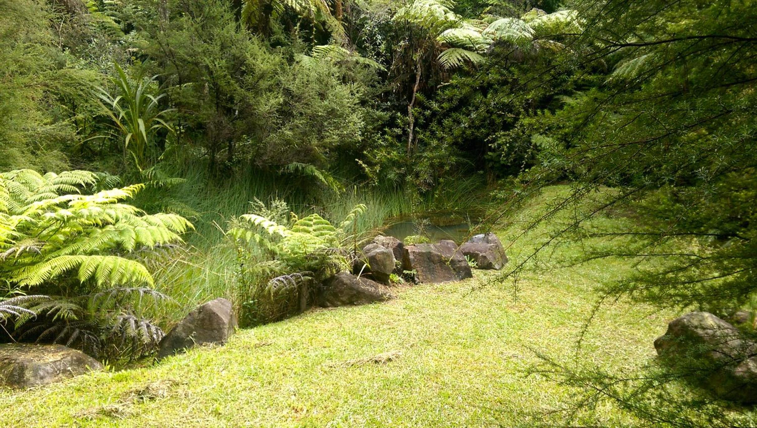 Photo 25