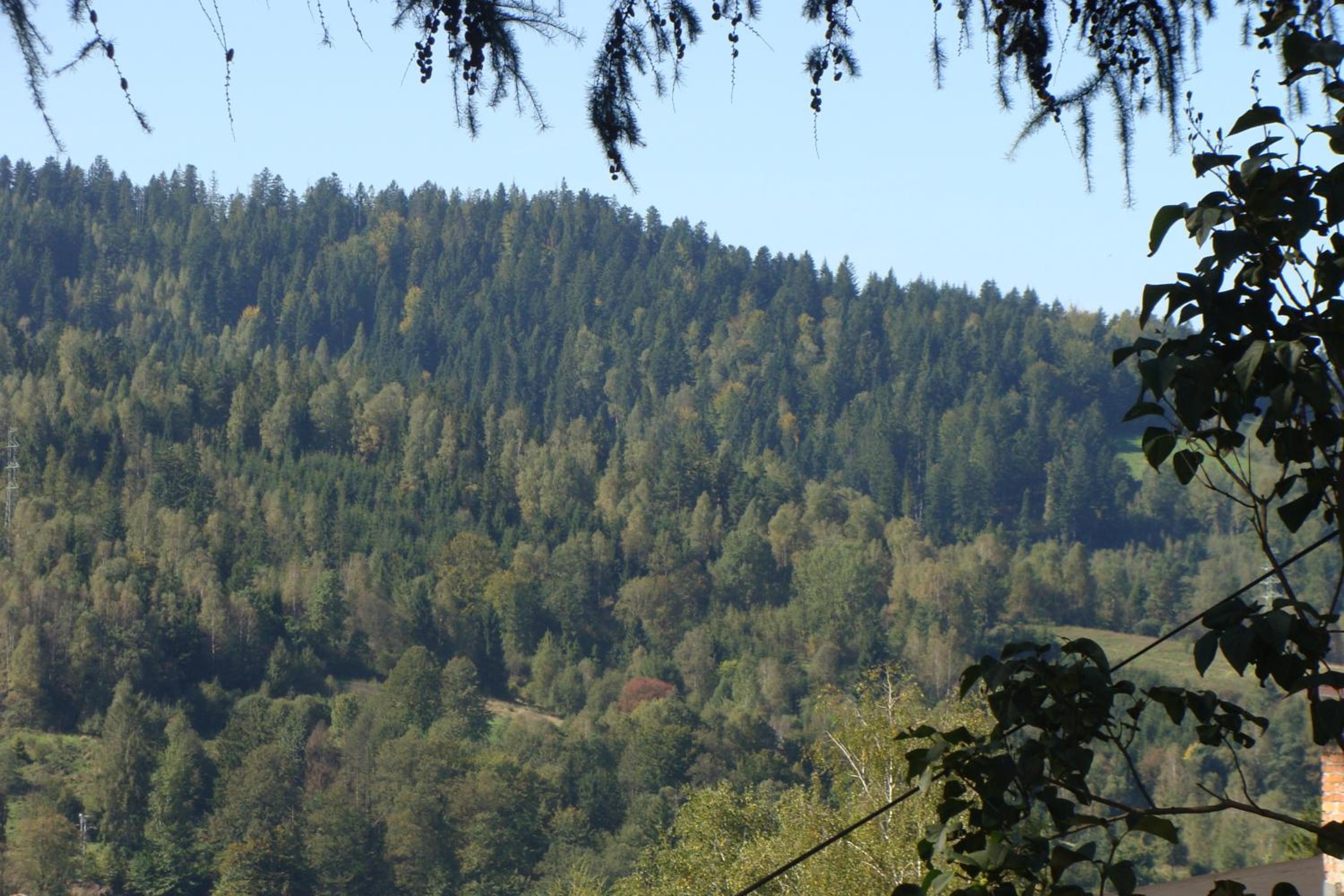 Photo 26
