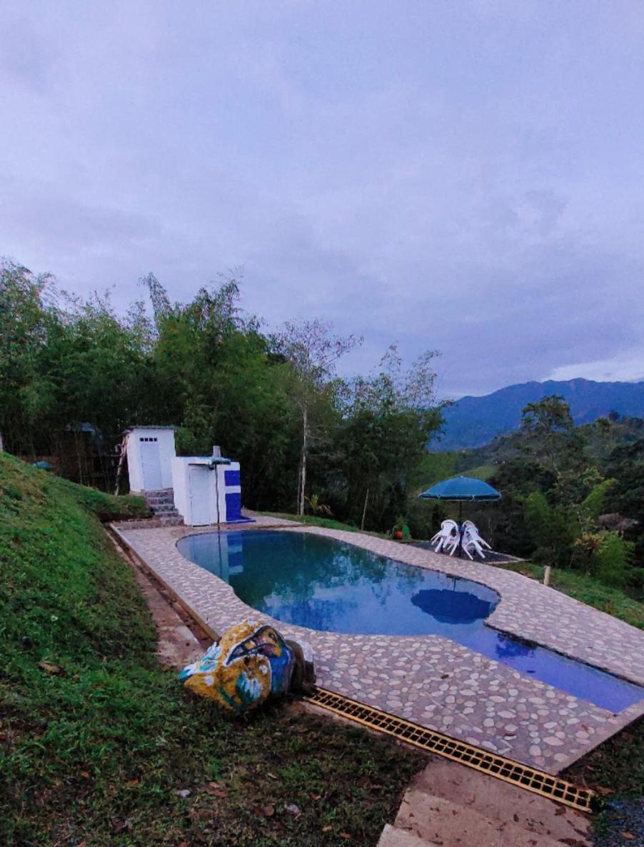 Glamping y Cabañas Alpina