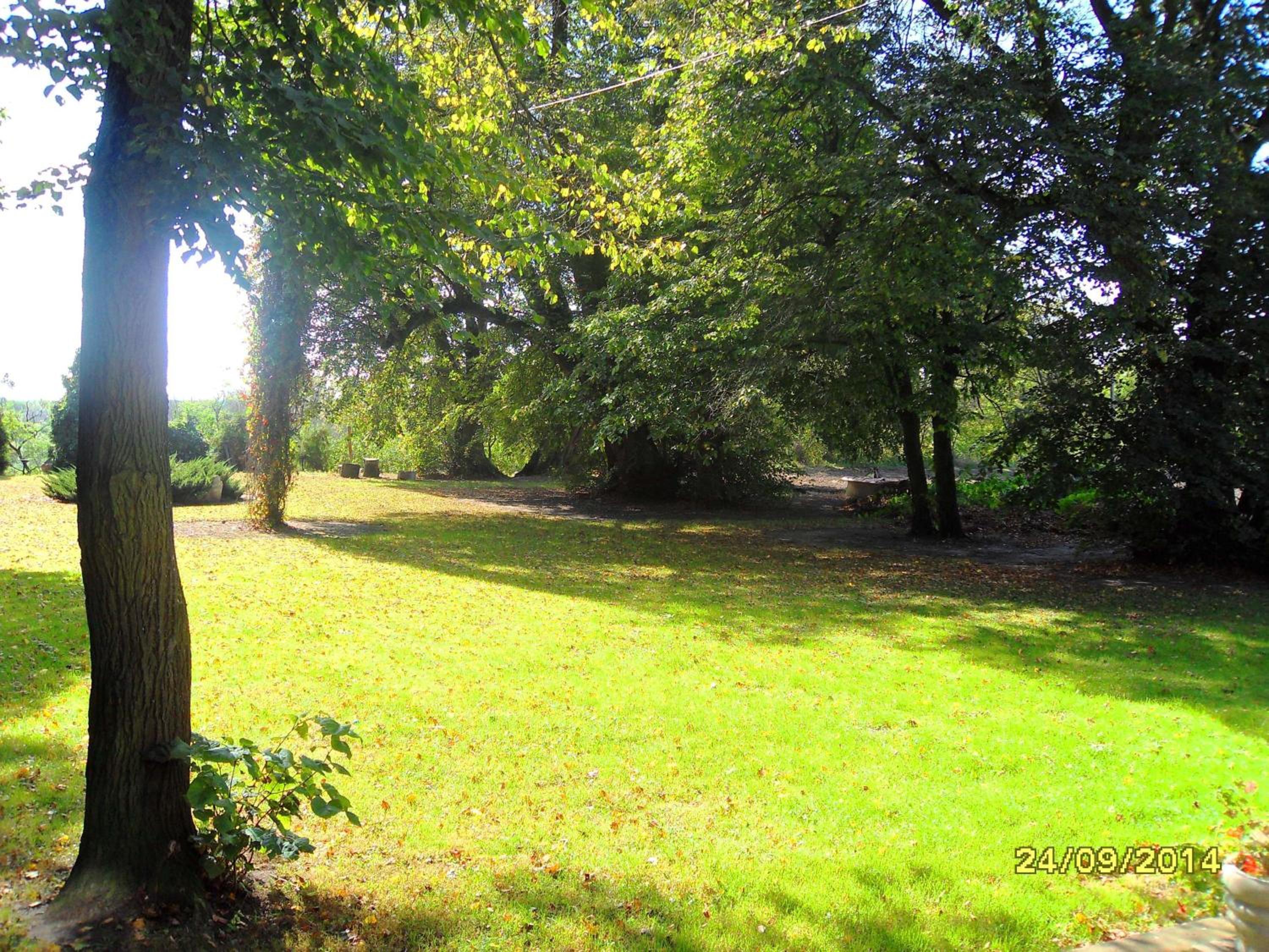 Photo 47