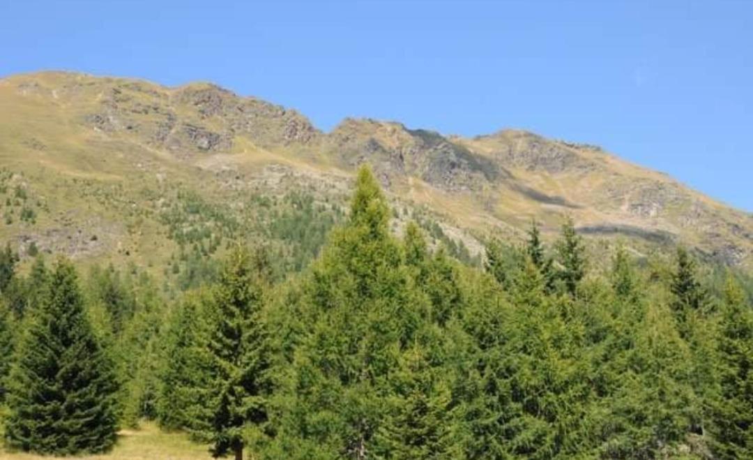 RANGERSDORFER HÜTTE