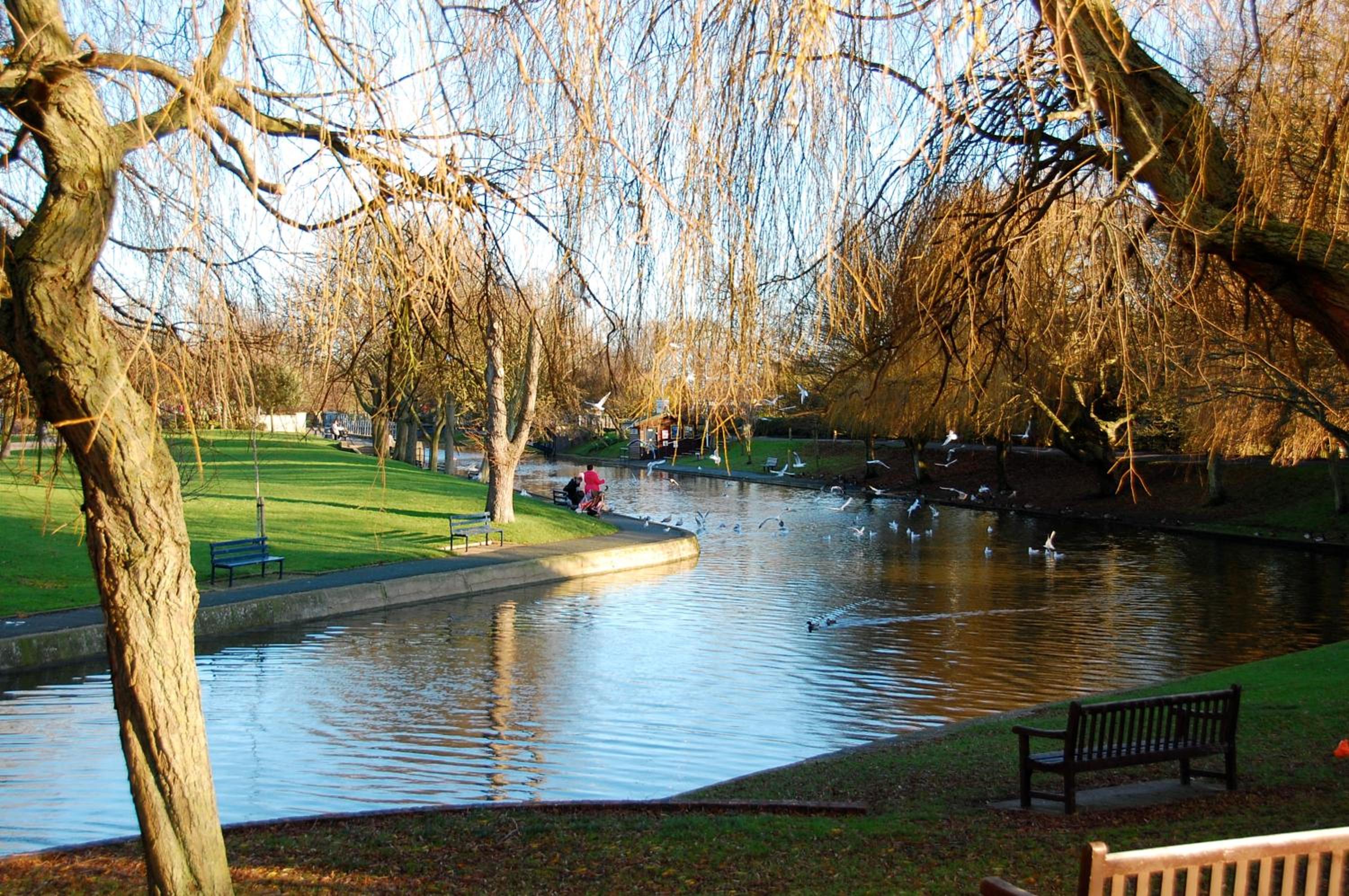 The Red Lion