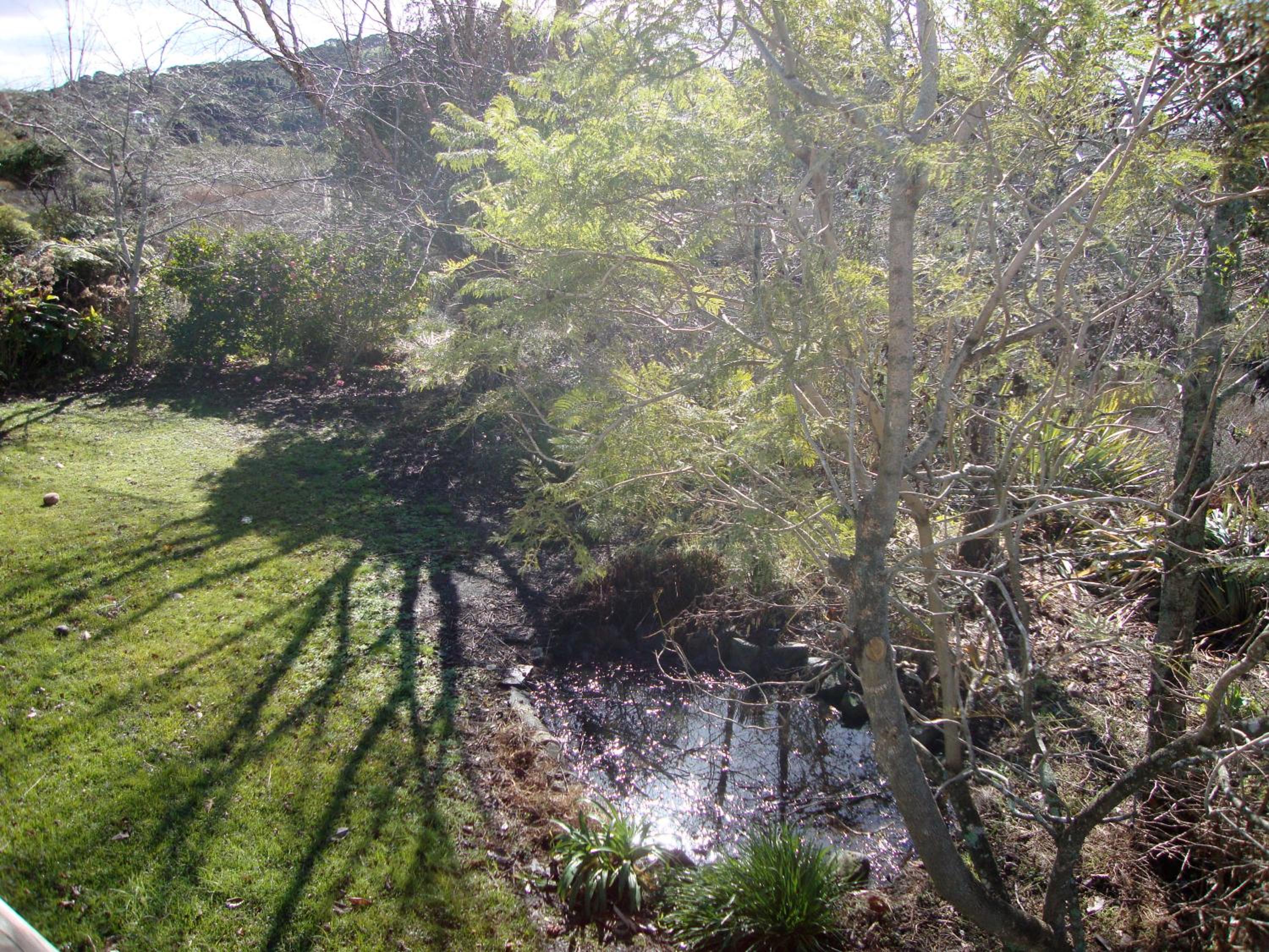 Photo 23