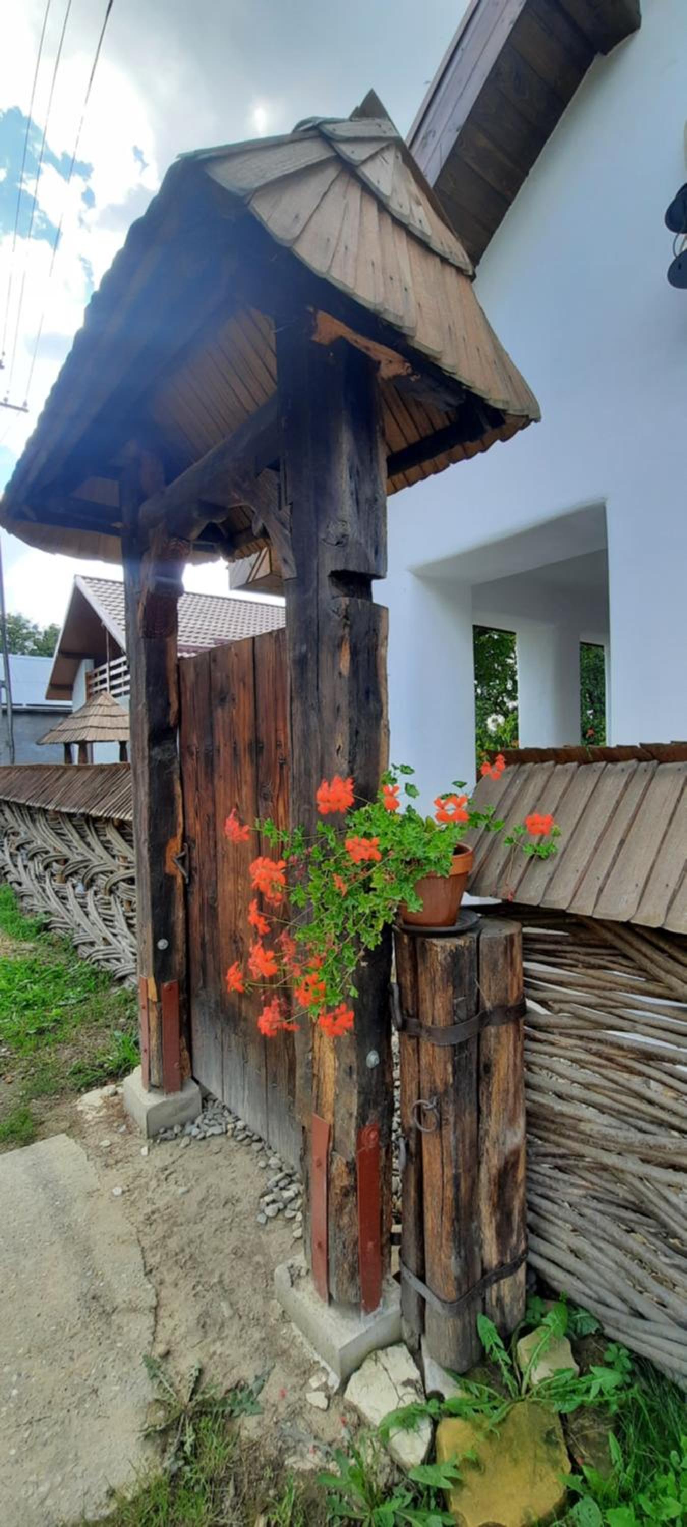 Photo 20