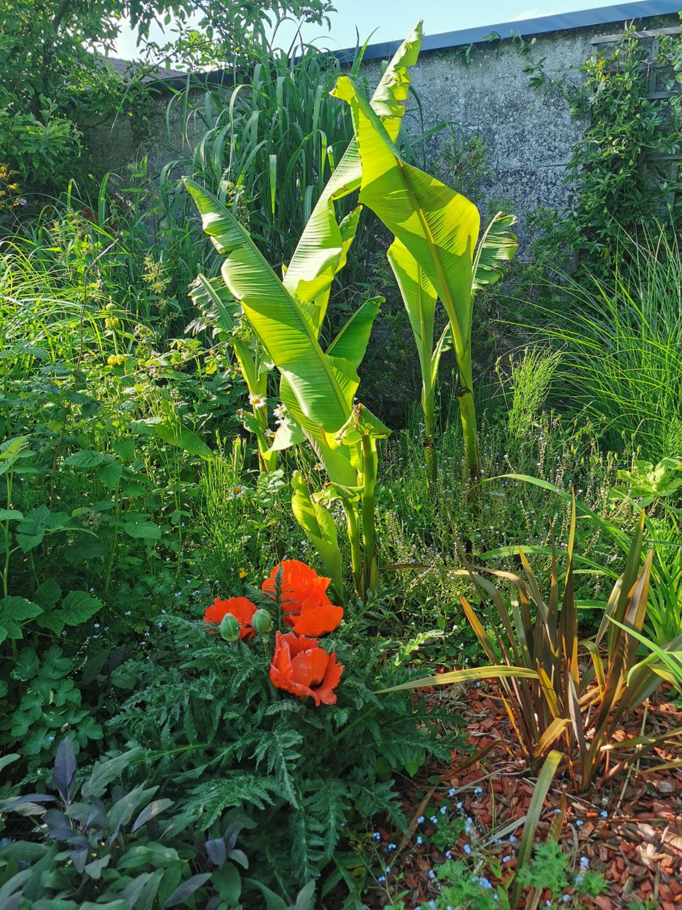 Photo 27