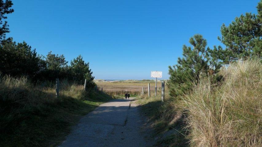 Photo 48