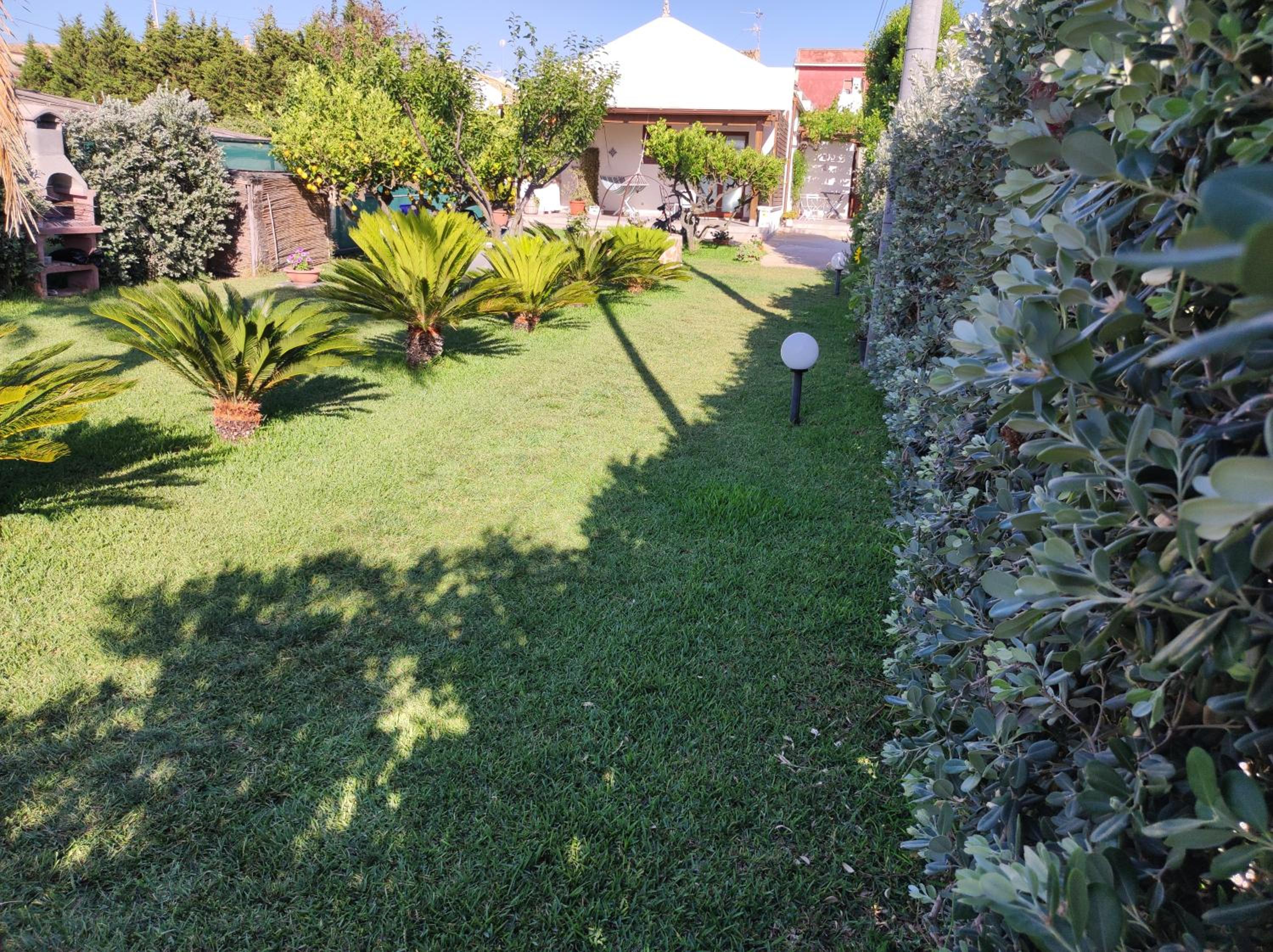 Photo 53