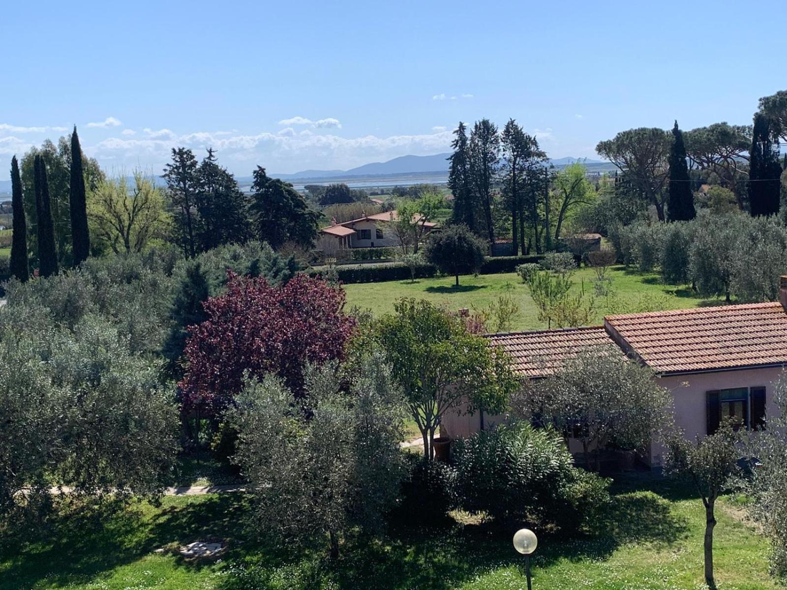 Casa Maremma “Peonia” photo 3