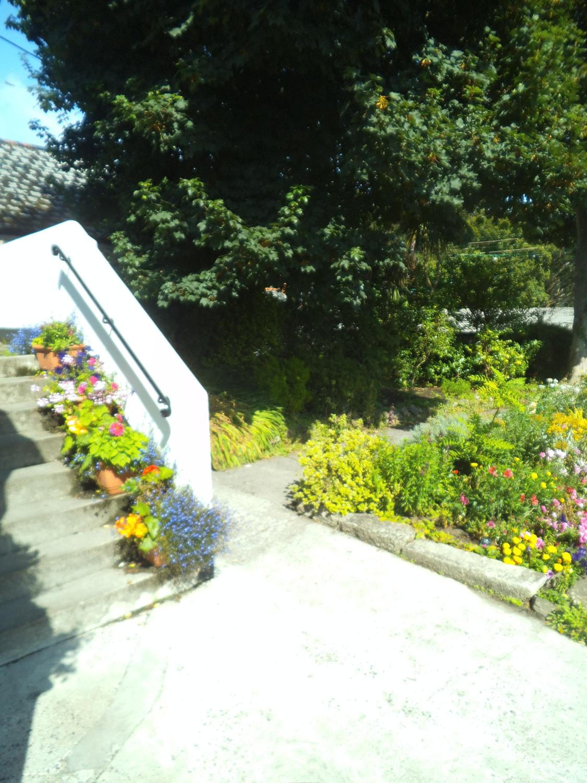 Photo 24