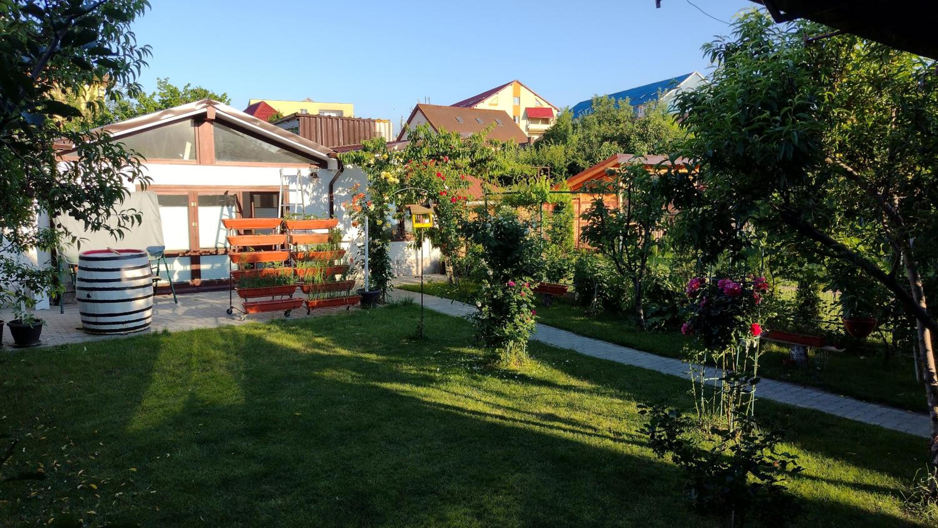 Casa Ienciu view 5