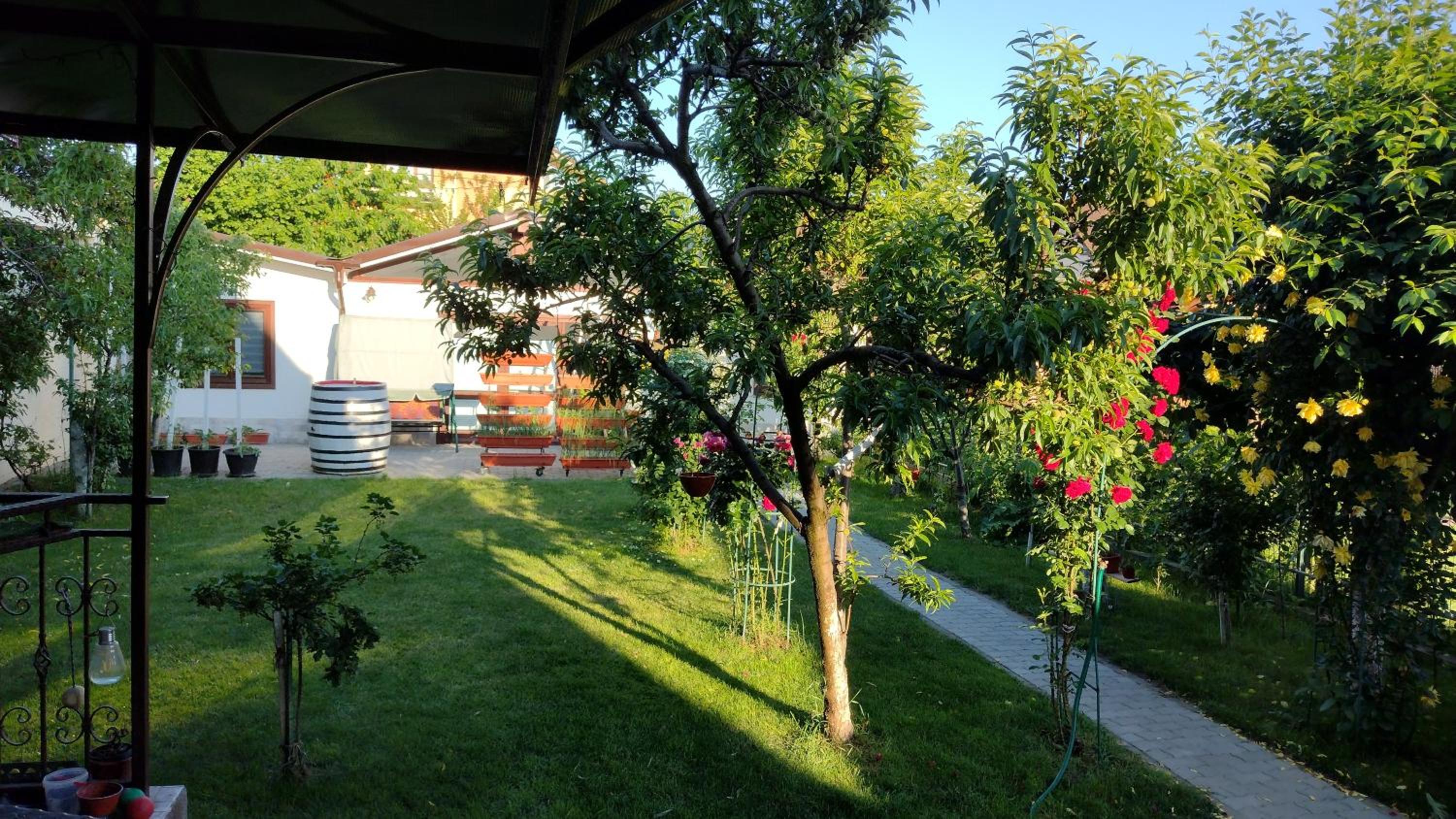Casa Ienciu view 4