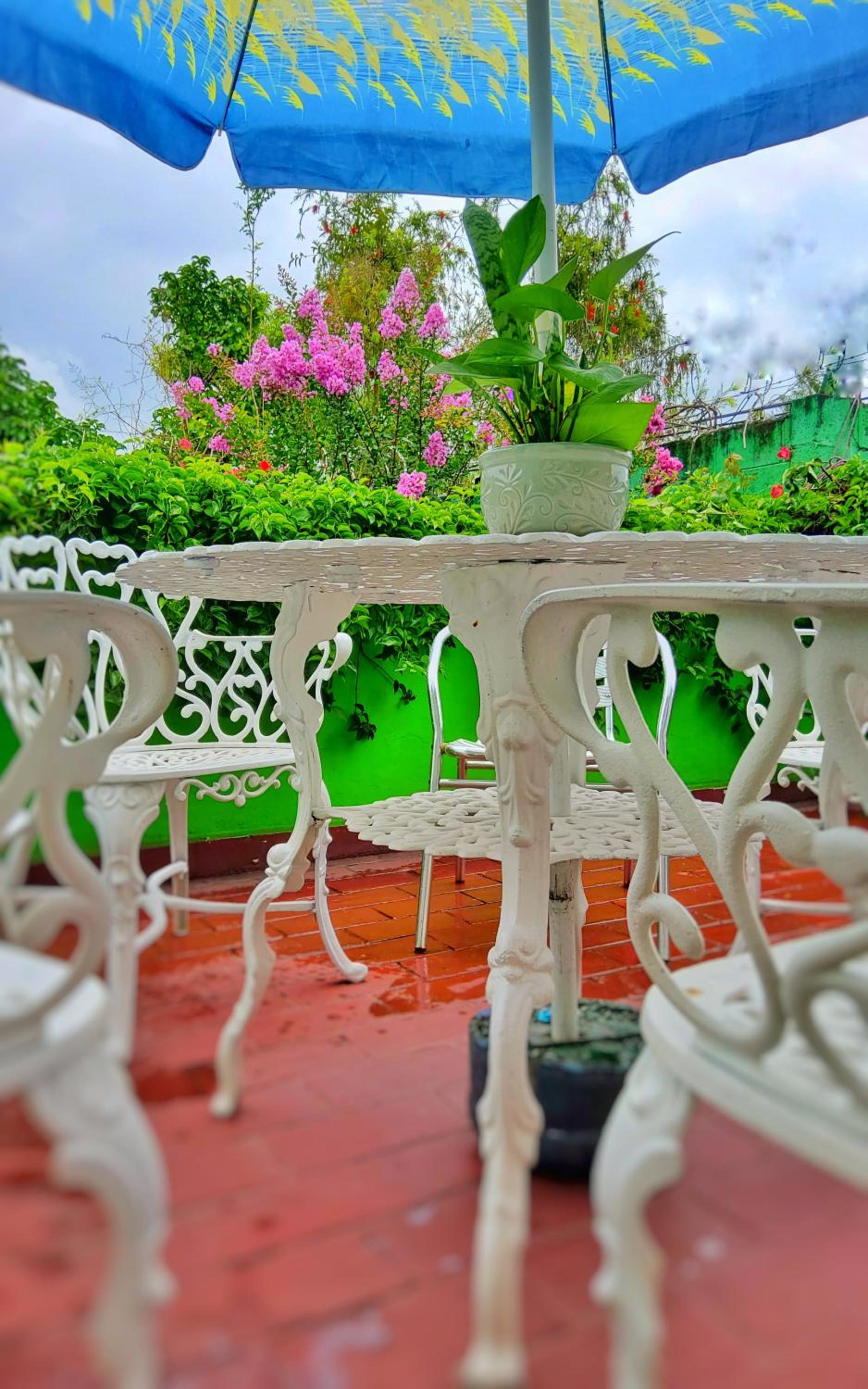 Hotel Oasis