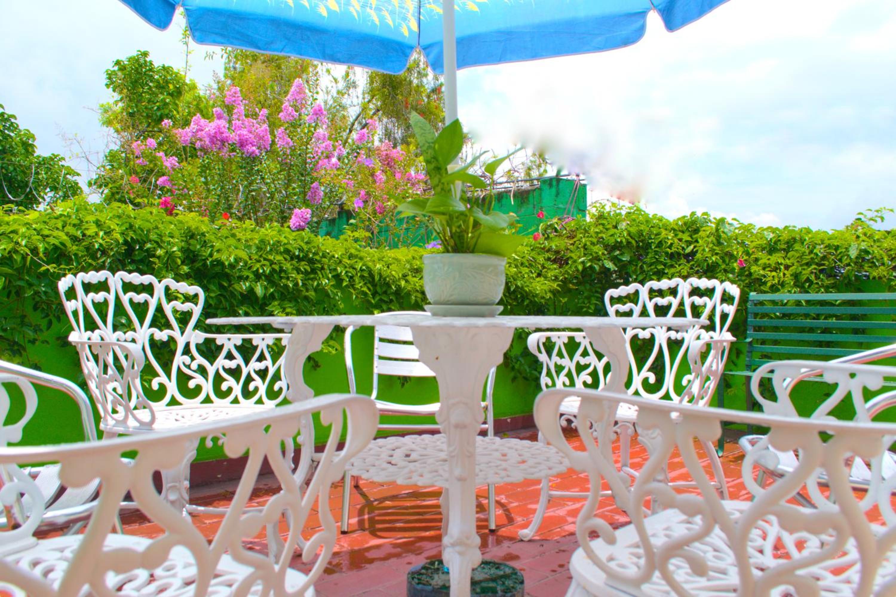Hotel Oasis
