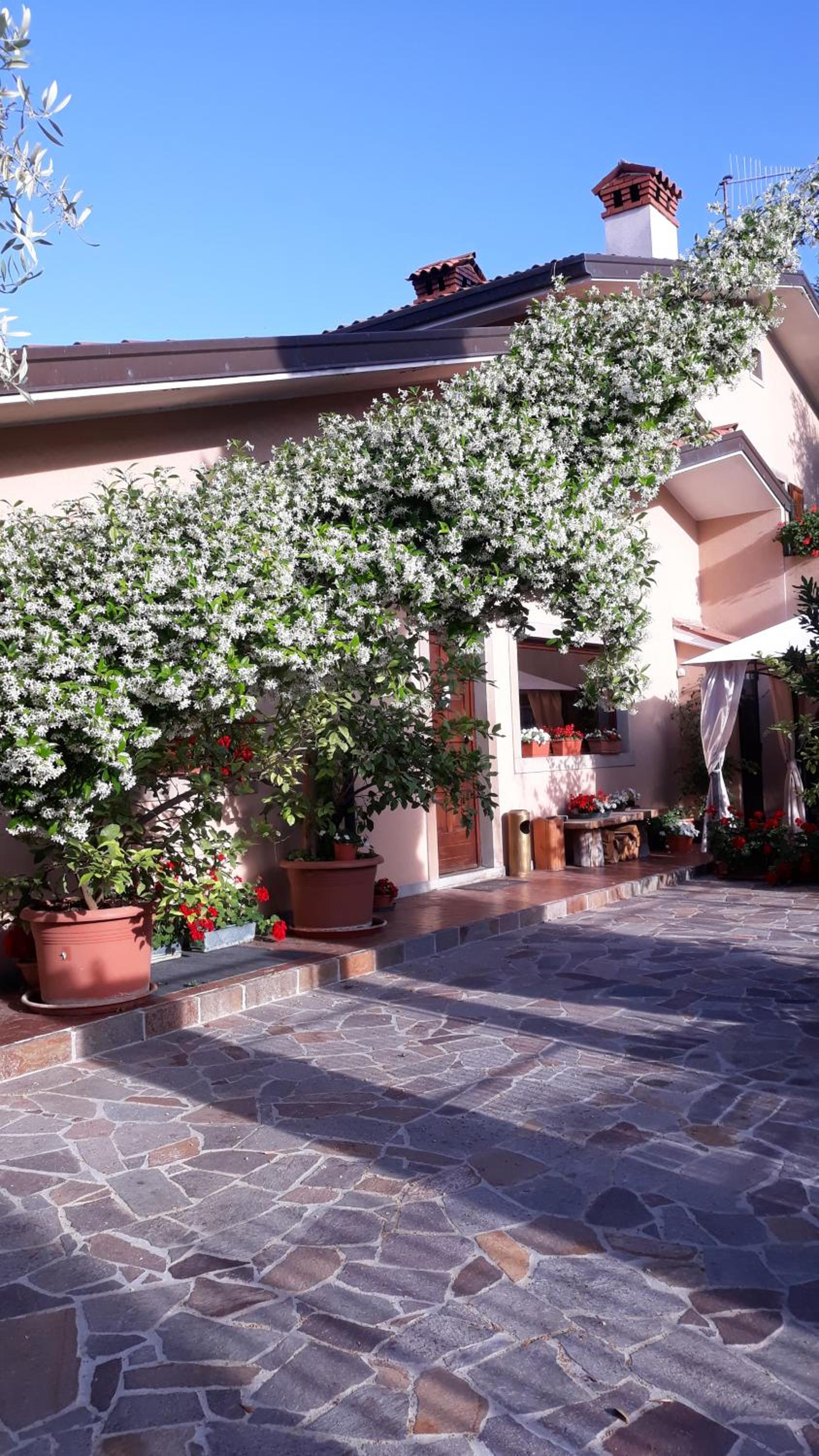 Photo 47