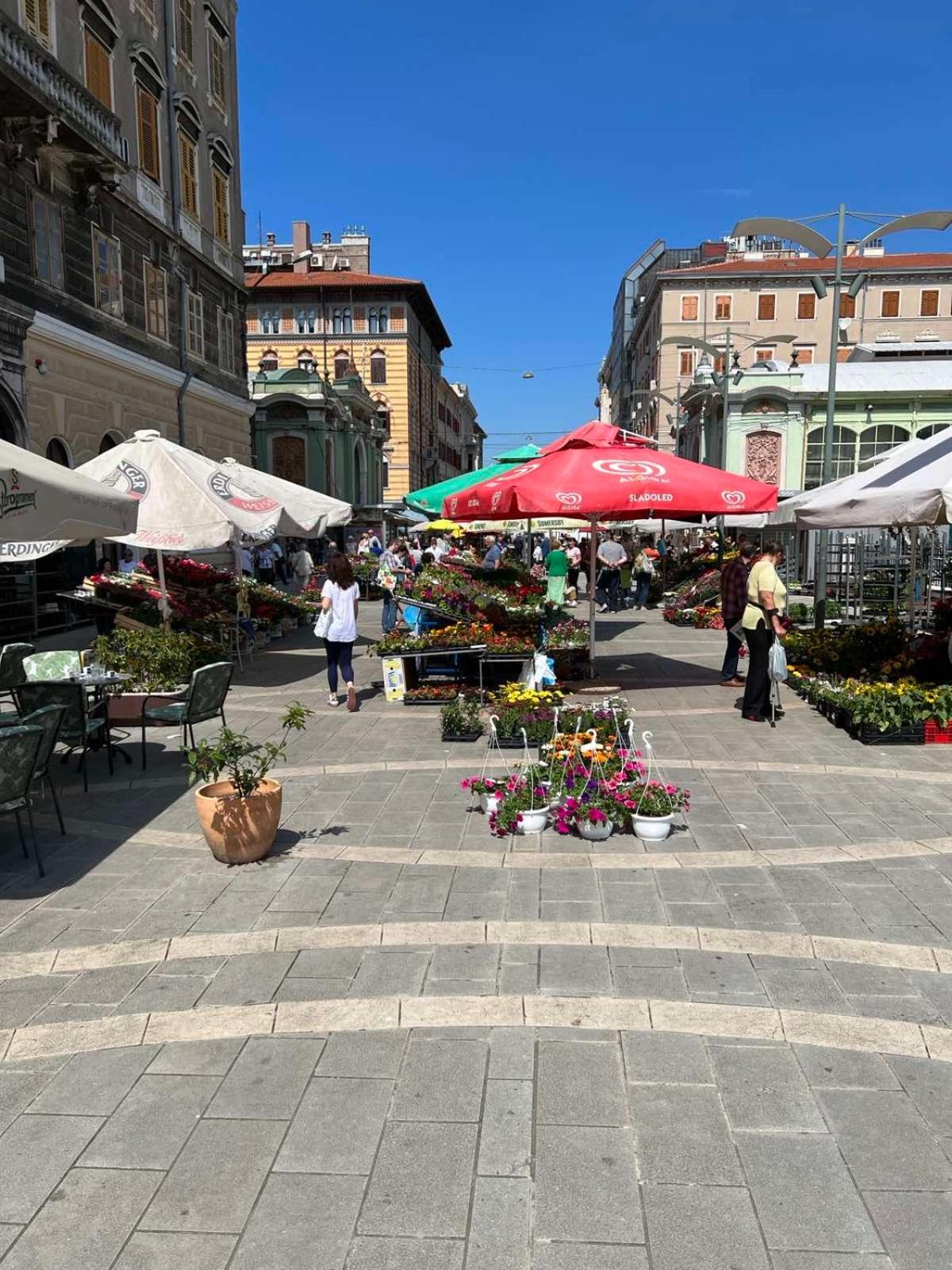 Apartment Tashi, Korzo - Rijeka, 2 bedrooms view 4