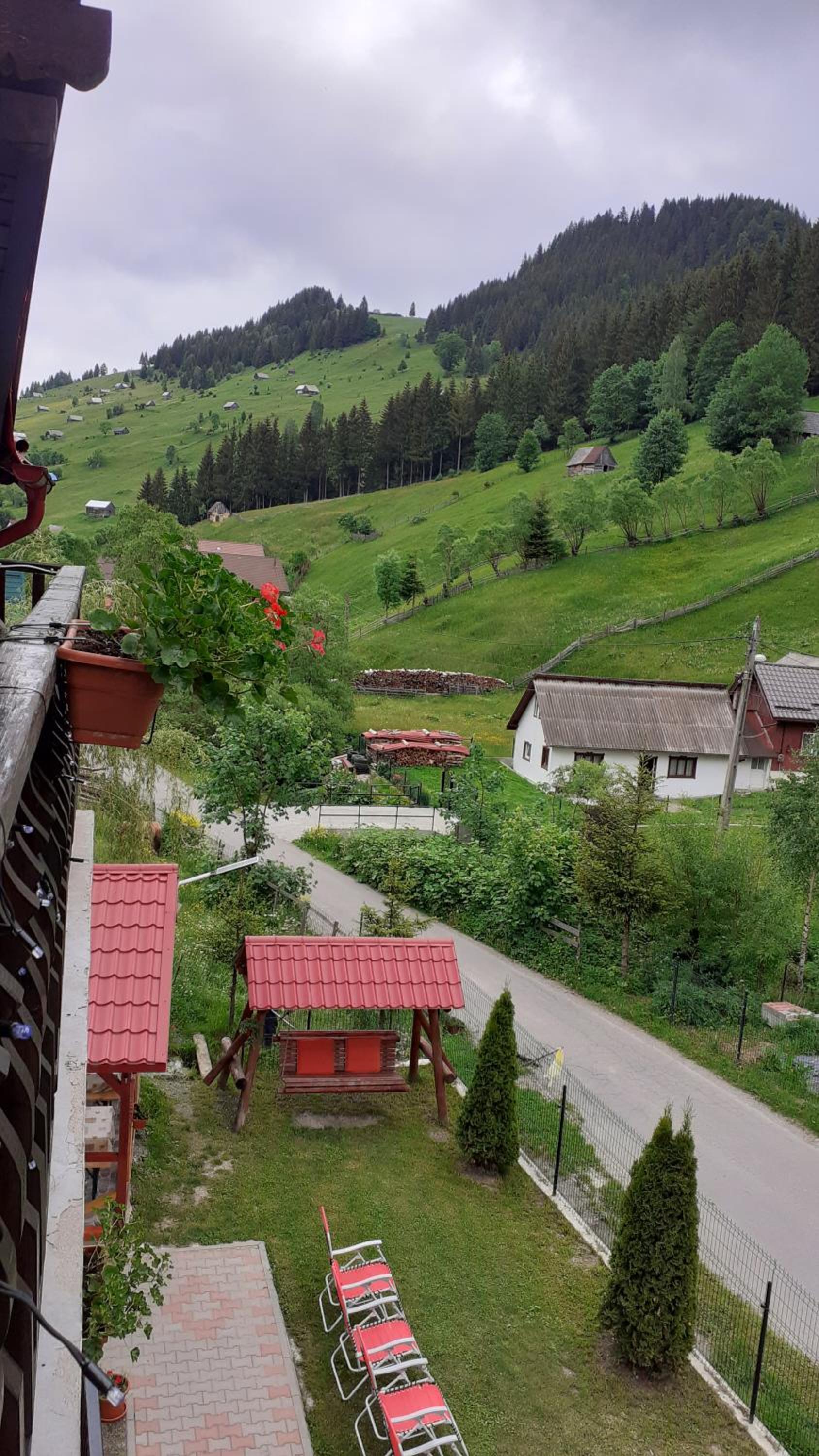 Photo 40