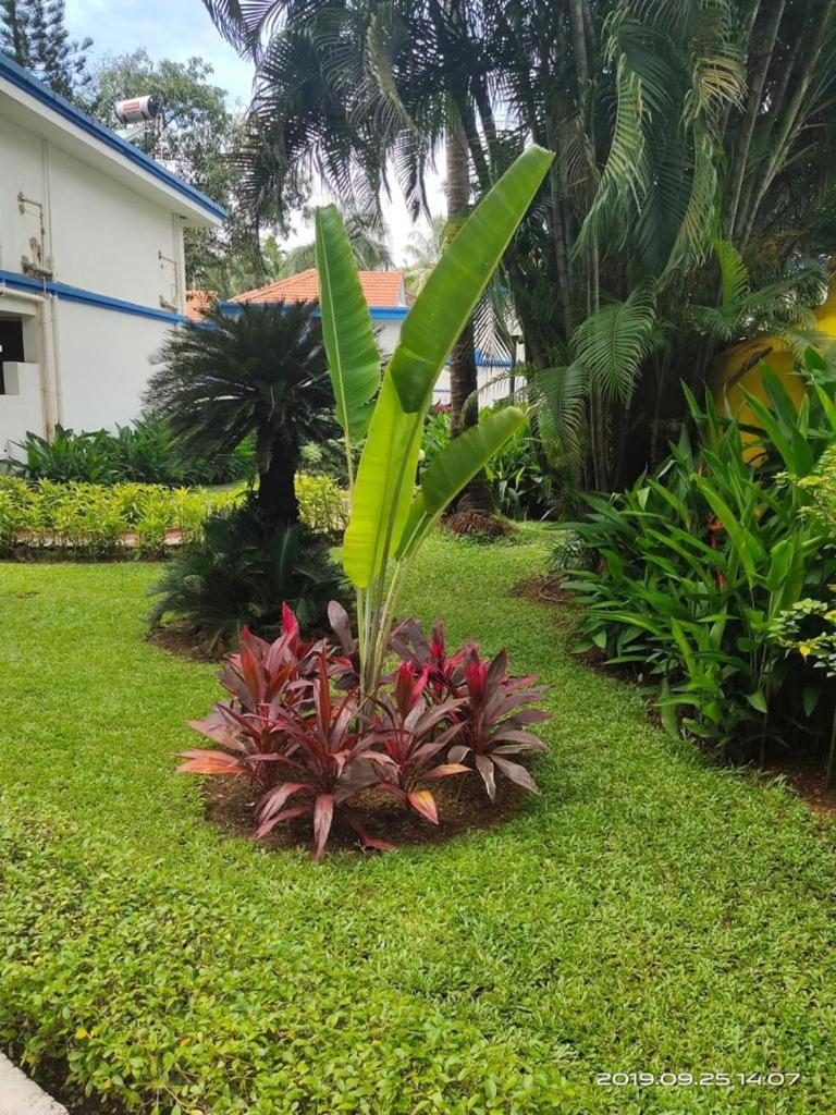 ARY Royal Palms - 1 BHK view 2