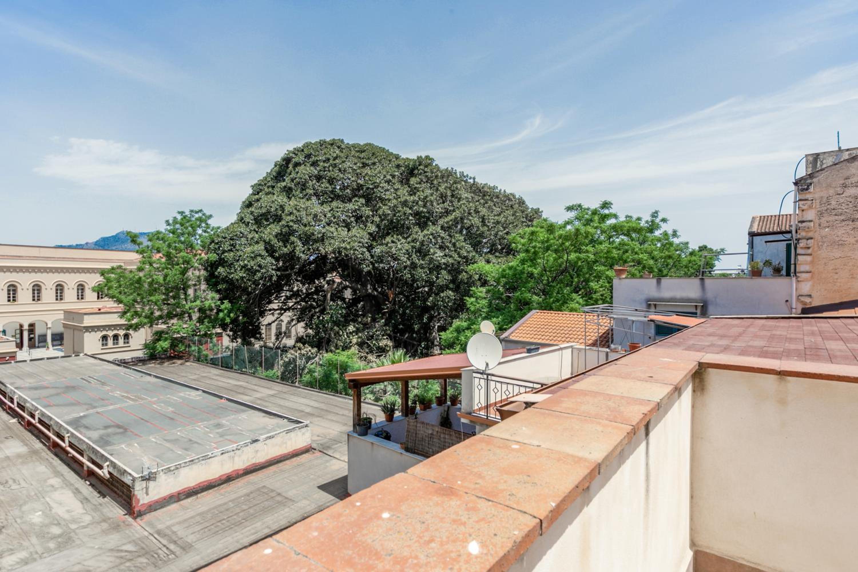 roof