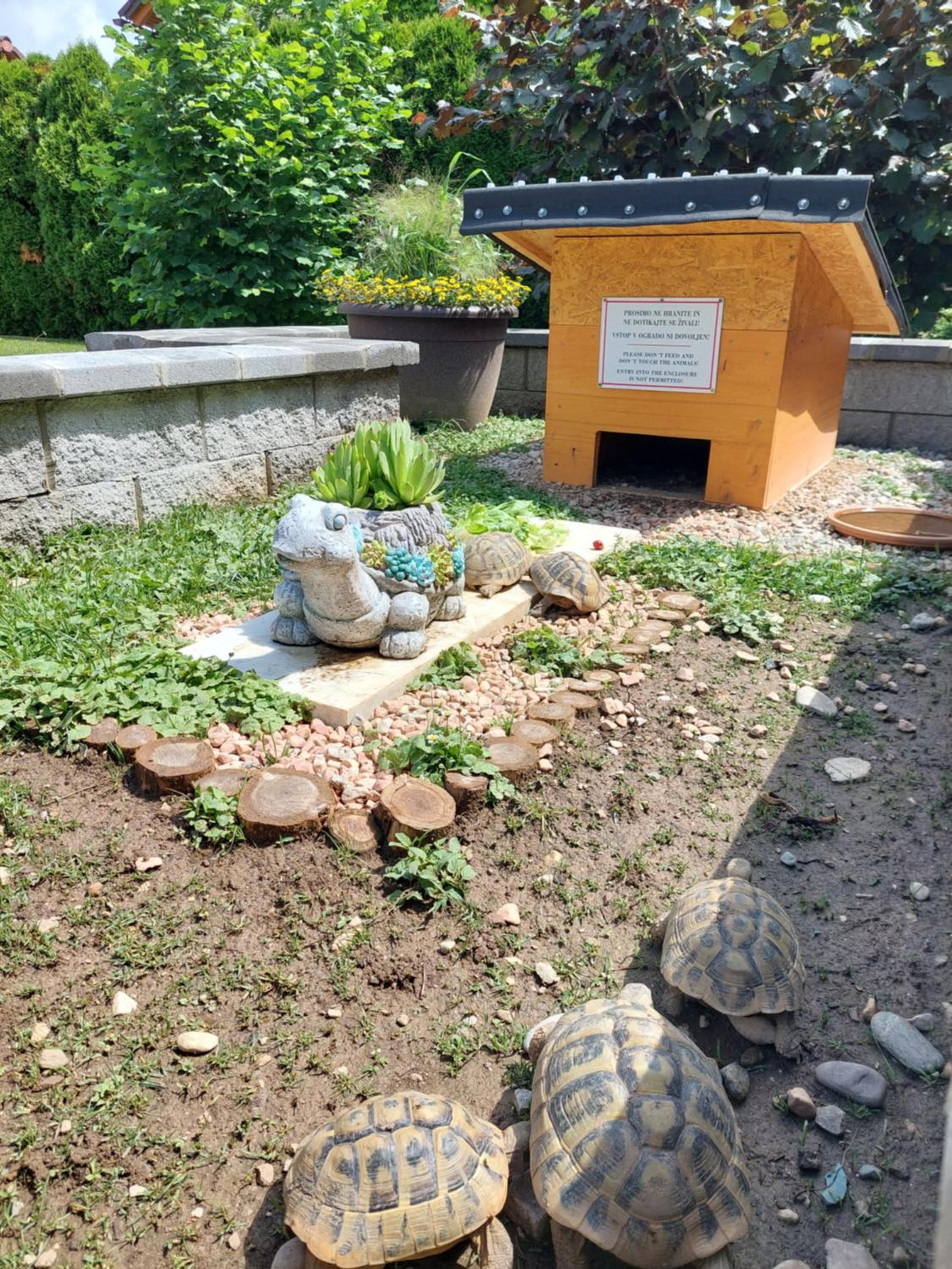 Photo 19