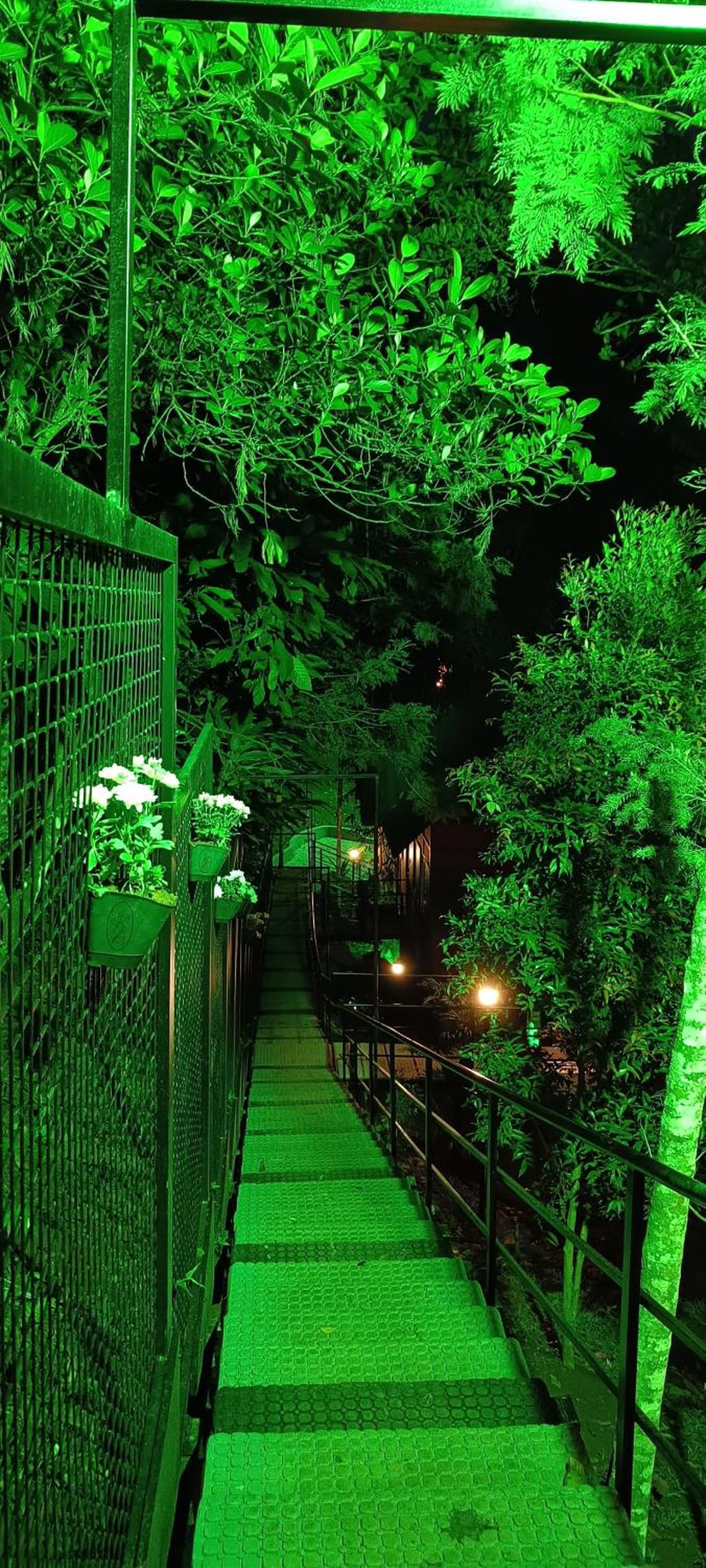 Munnar Vacations - Santhi Hill View Resort - Property Image 4