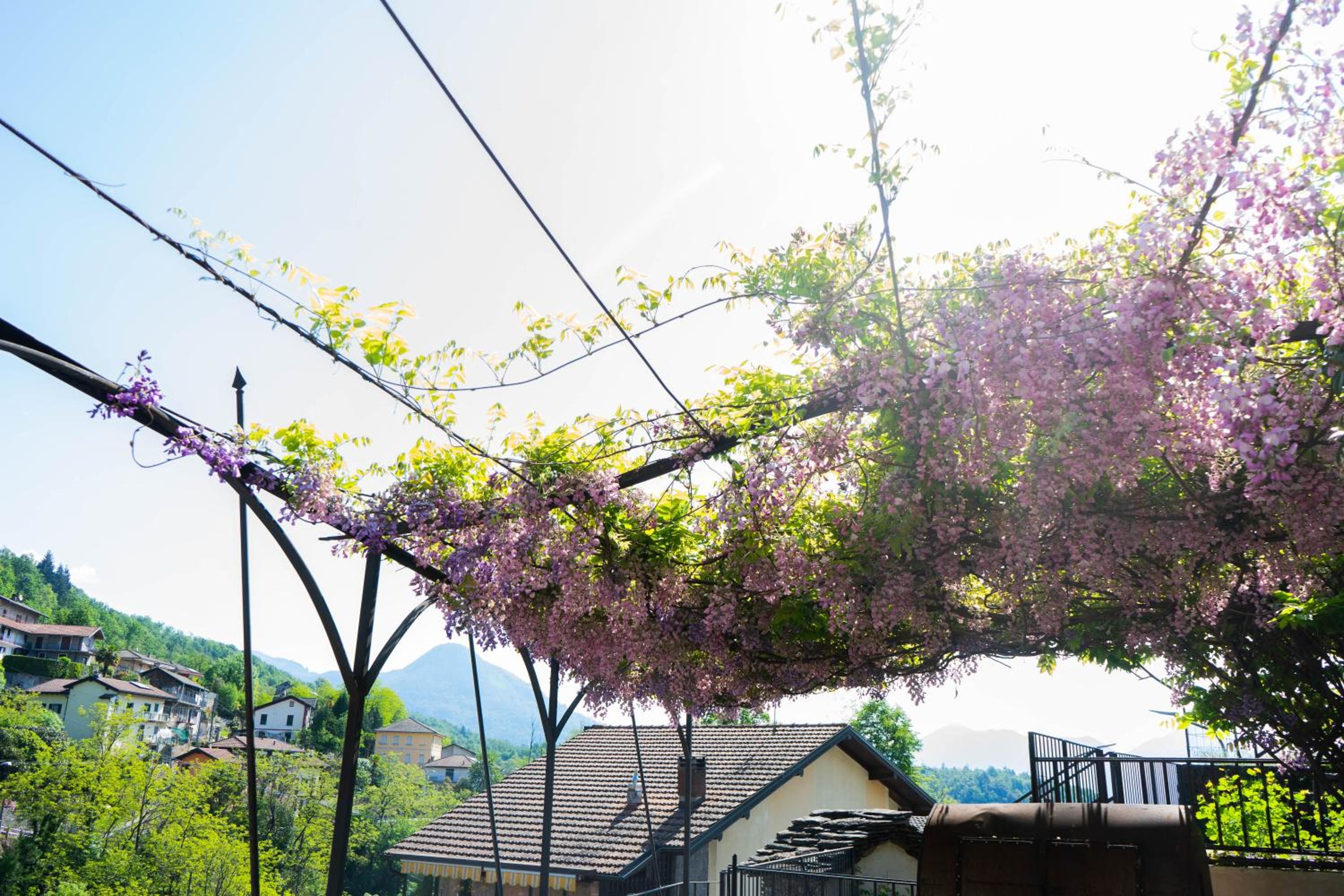 Guesthouse Giulietta e Romeo