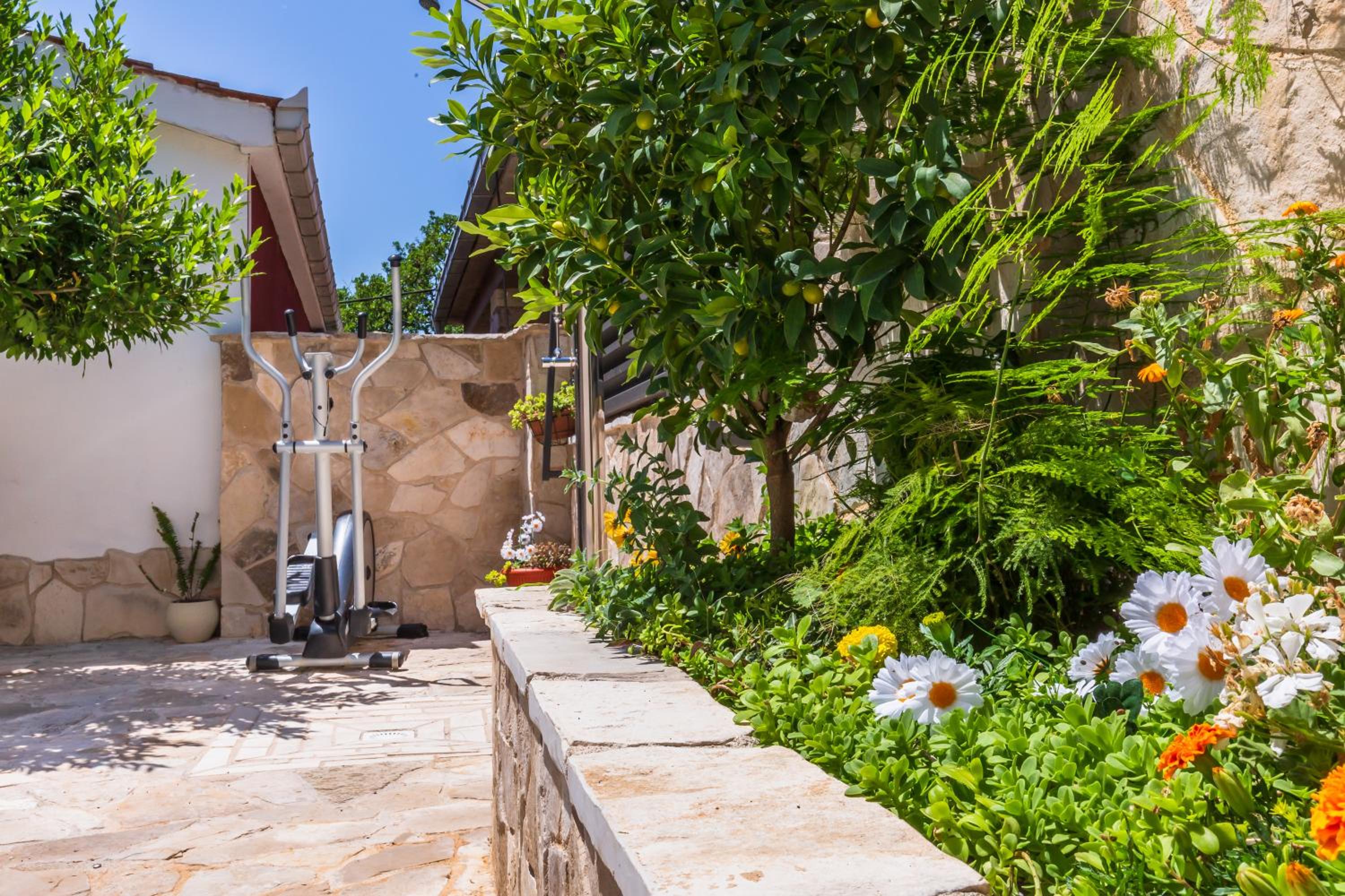Photo 49