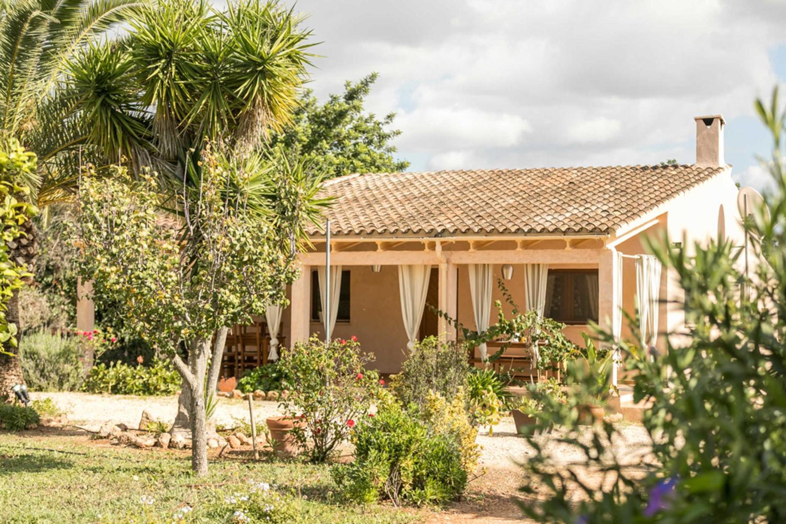 Finca Flora Cas Nets view 3
