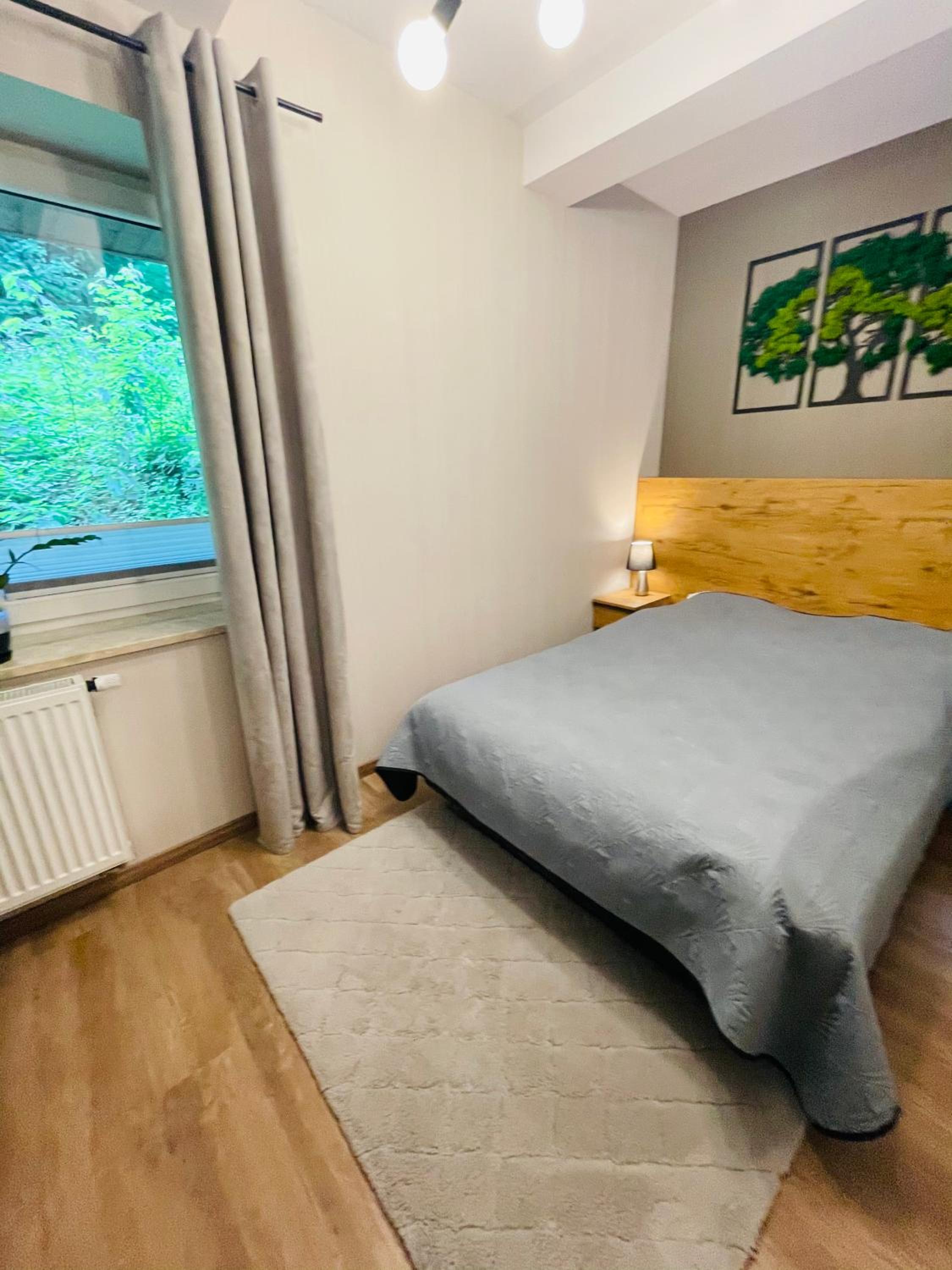 Apartament Góry i Potok view 4