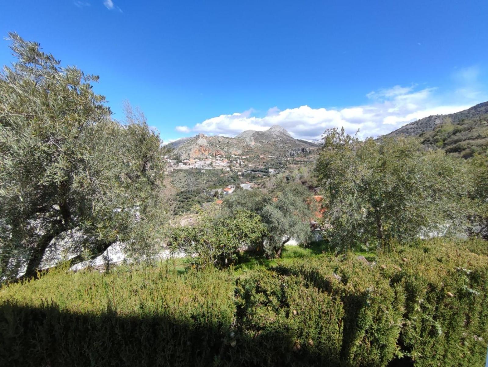 Photo 44