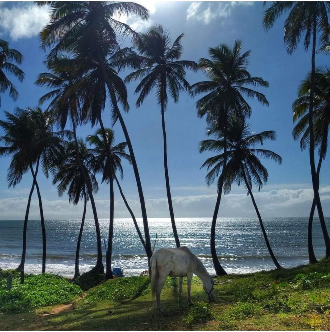 Cabanas Caraúbas - frente para o mar, ar & Tv