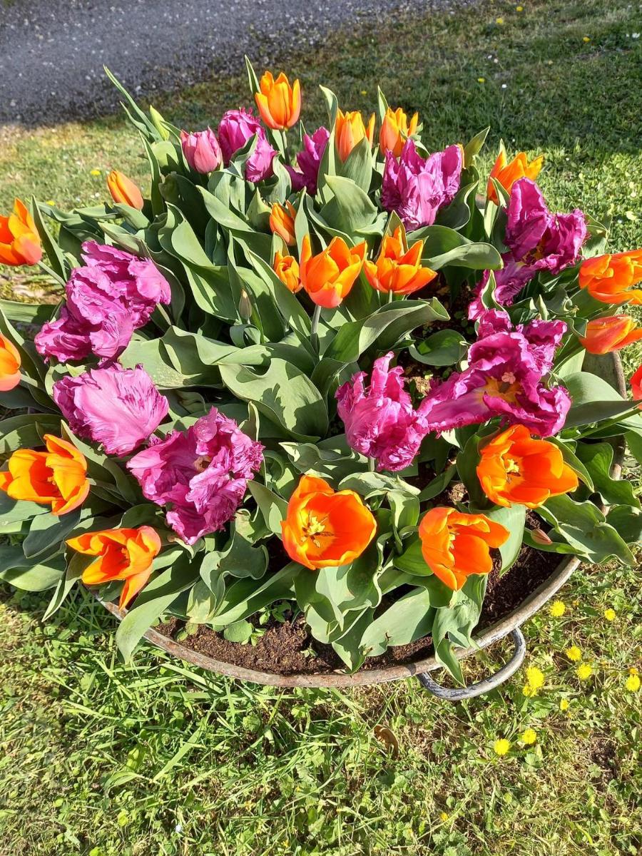 Au Bellefleur photo 3