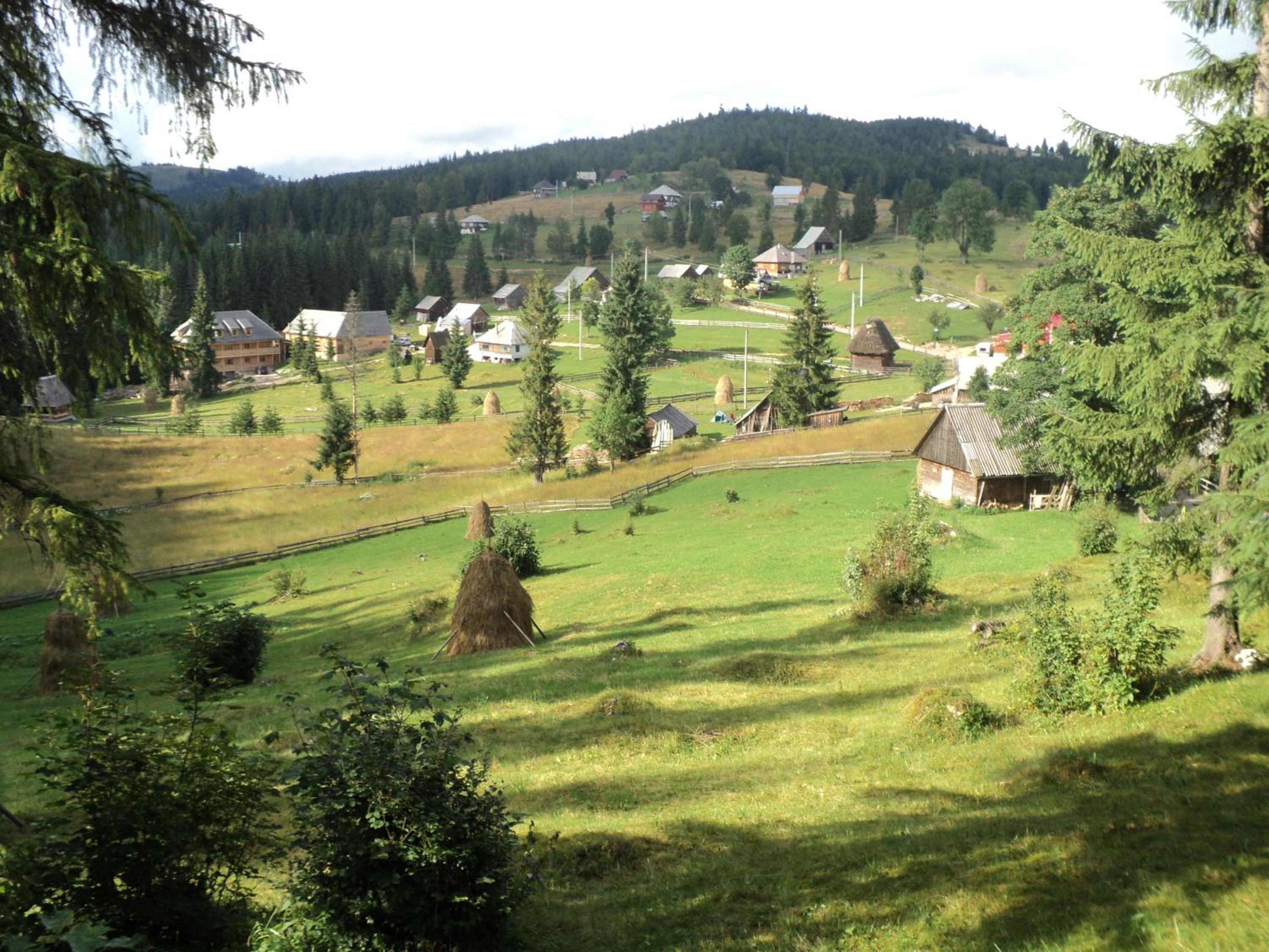 Photo 50