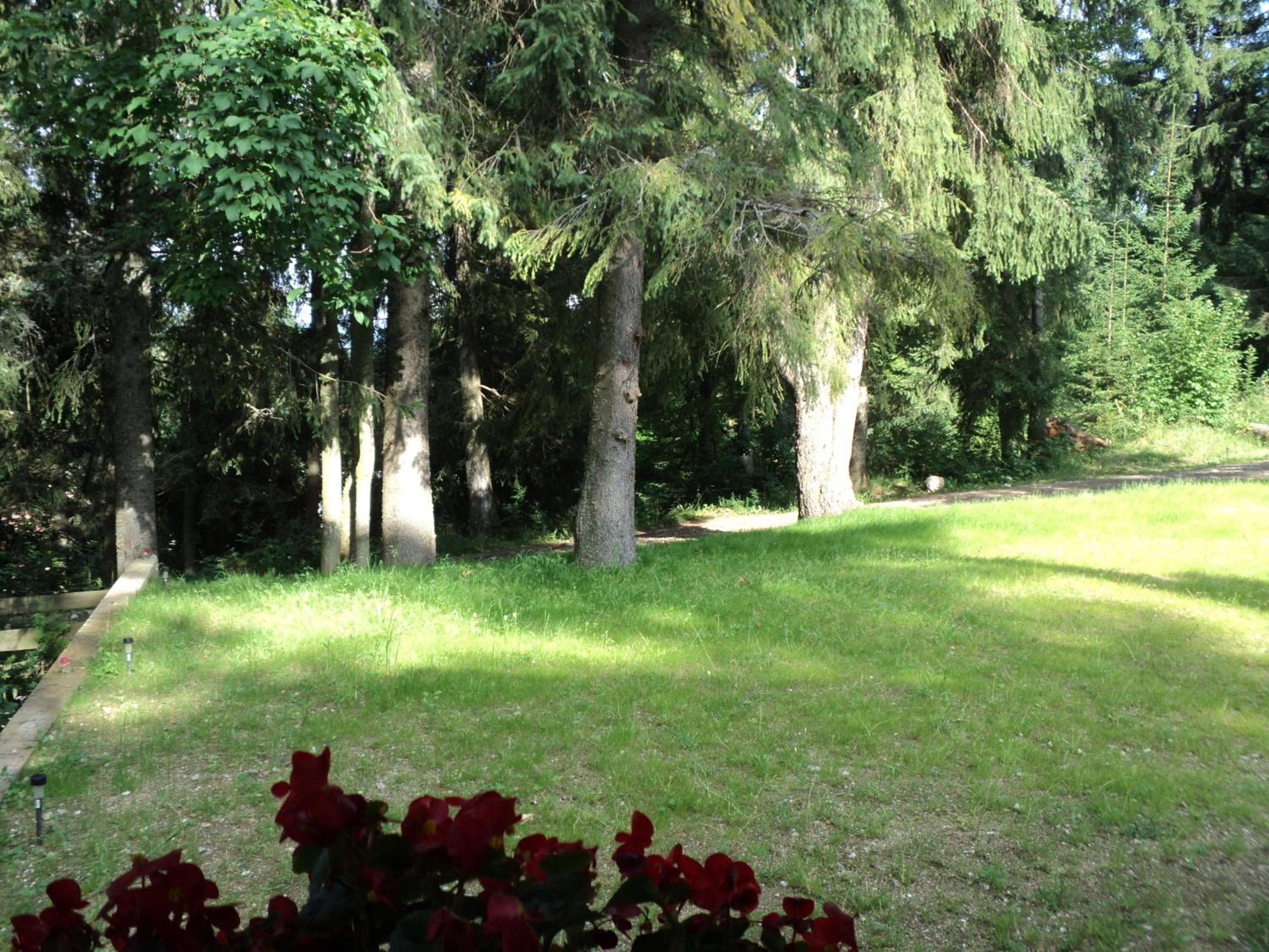 Photo 45