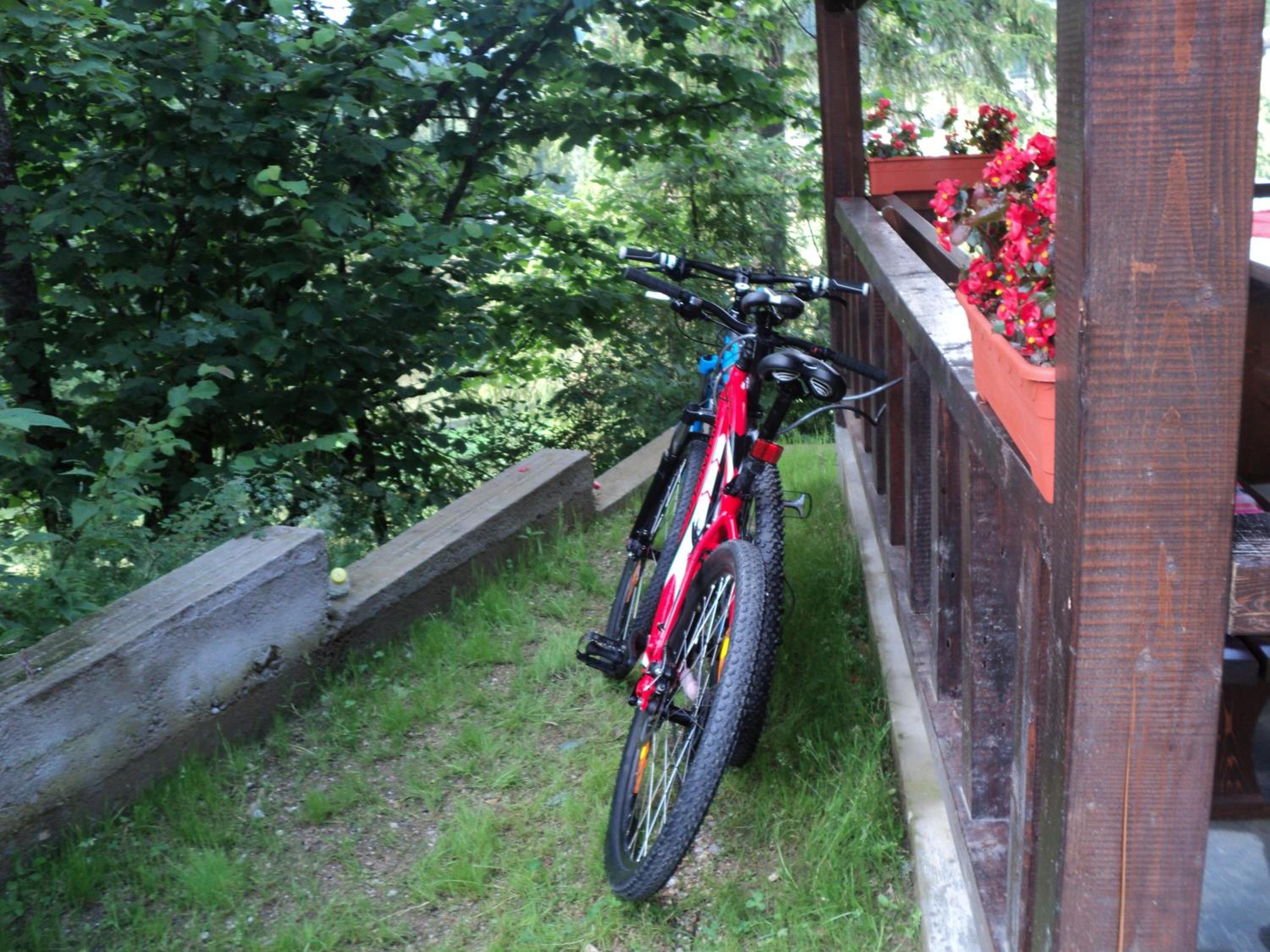 Photo 32