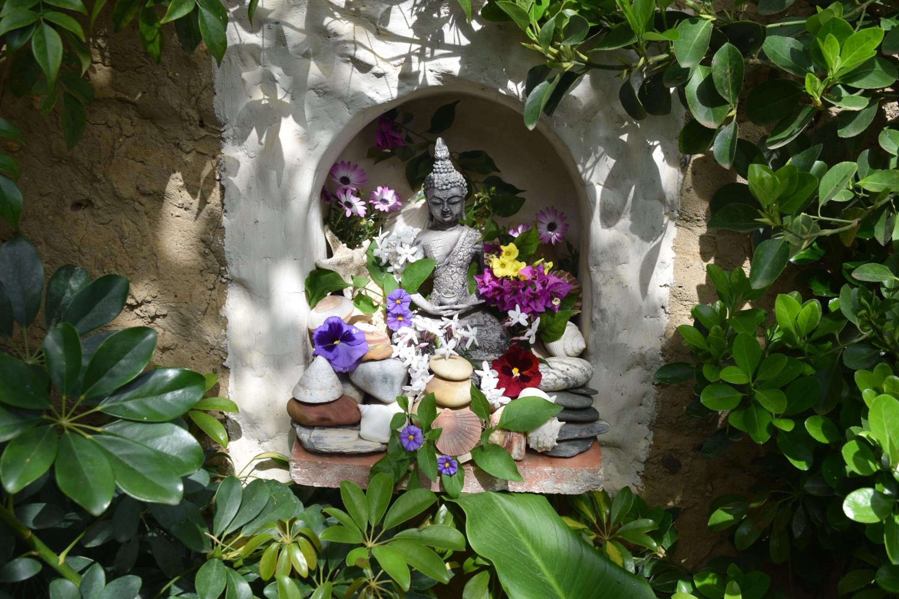 Photo 43