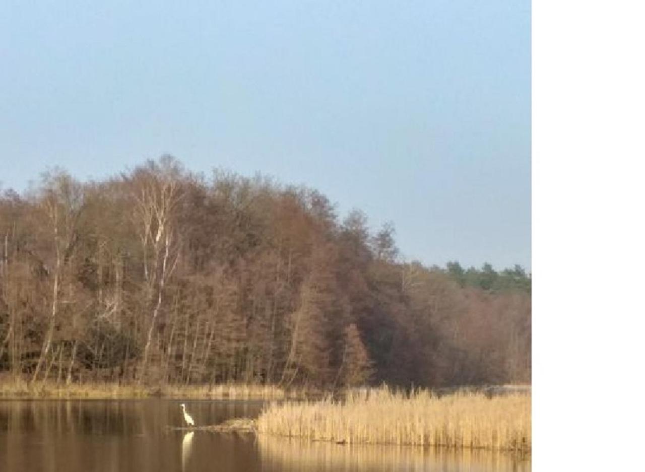 Pension & Gasthaus Kattenstieg