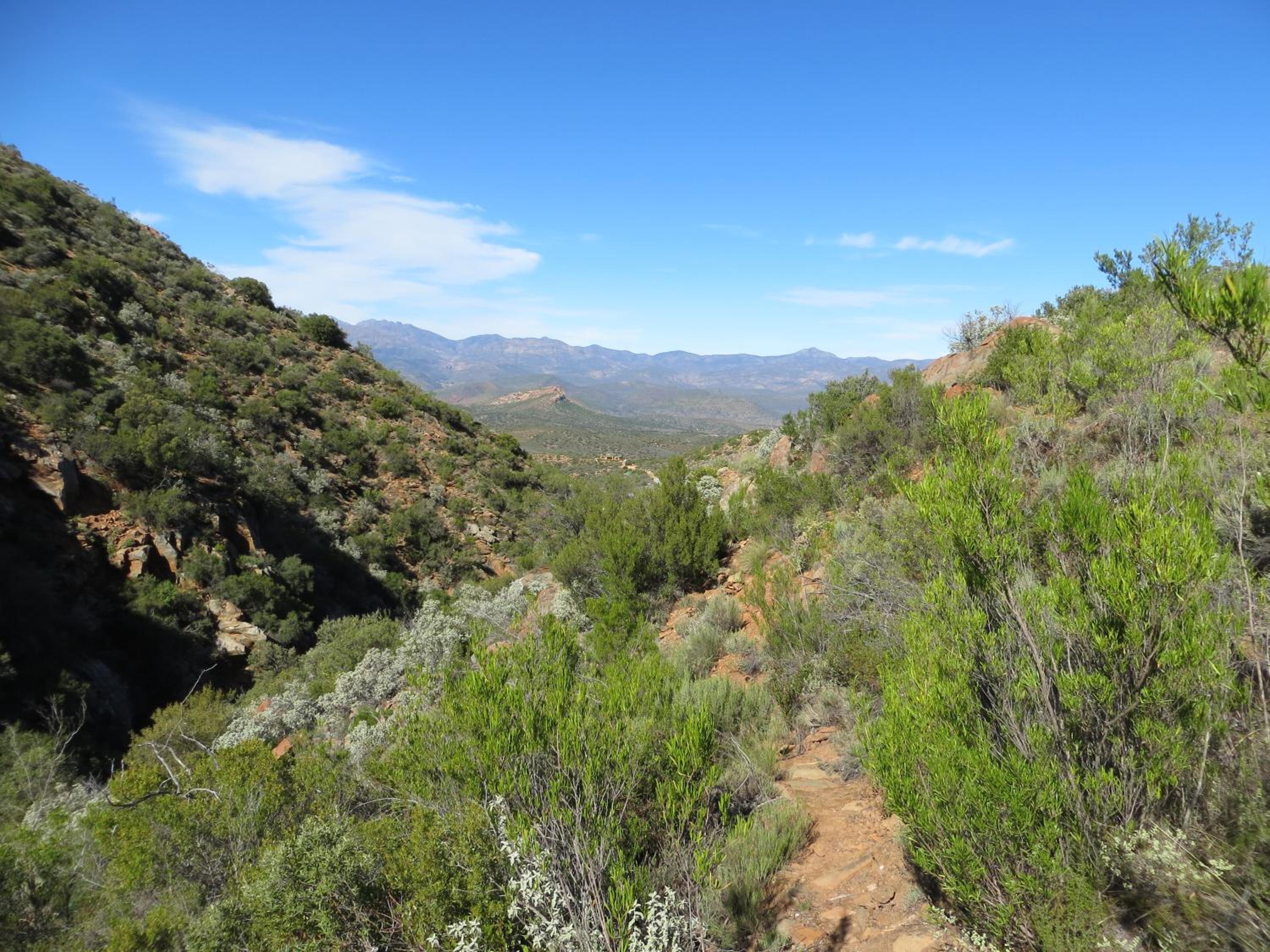 Joel's Off Grid Cottage in the Klein Karoo view 2