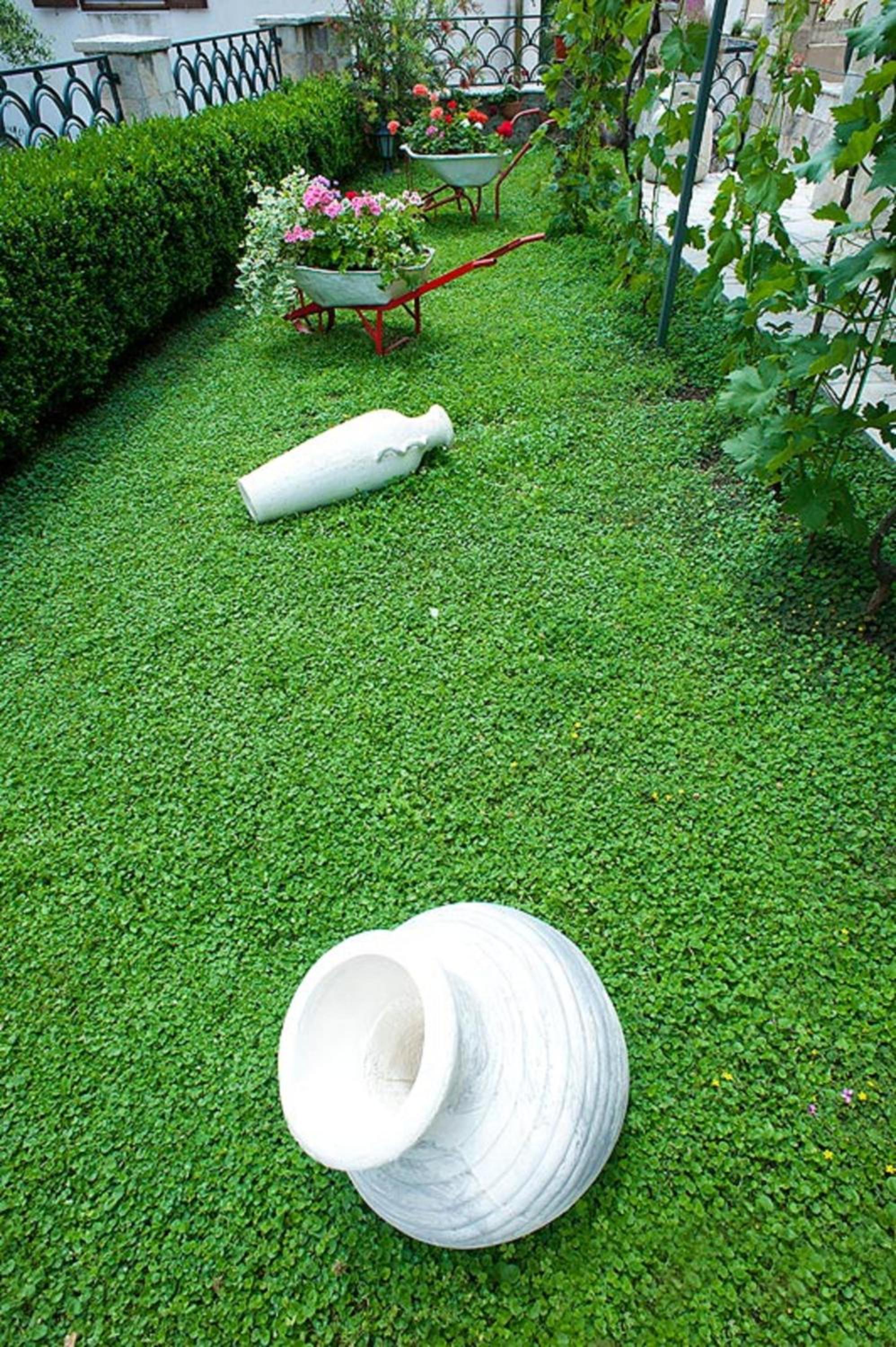 Guest House Medin