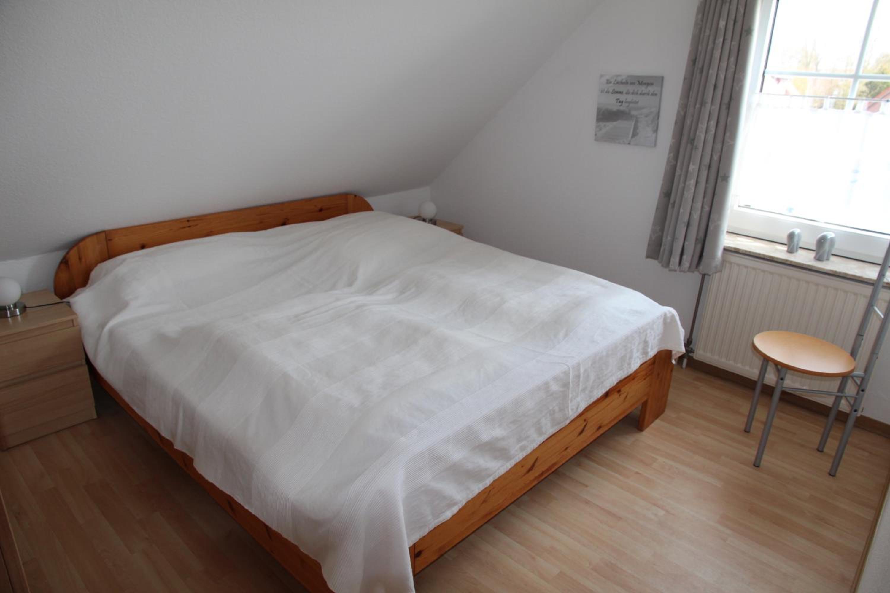 Seeschwalbe