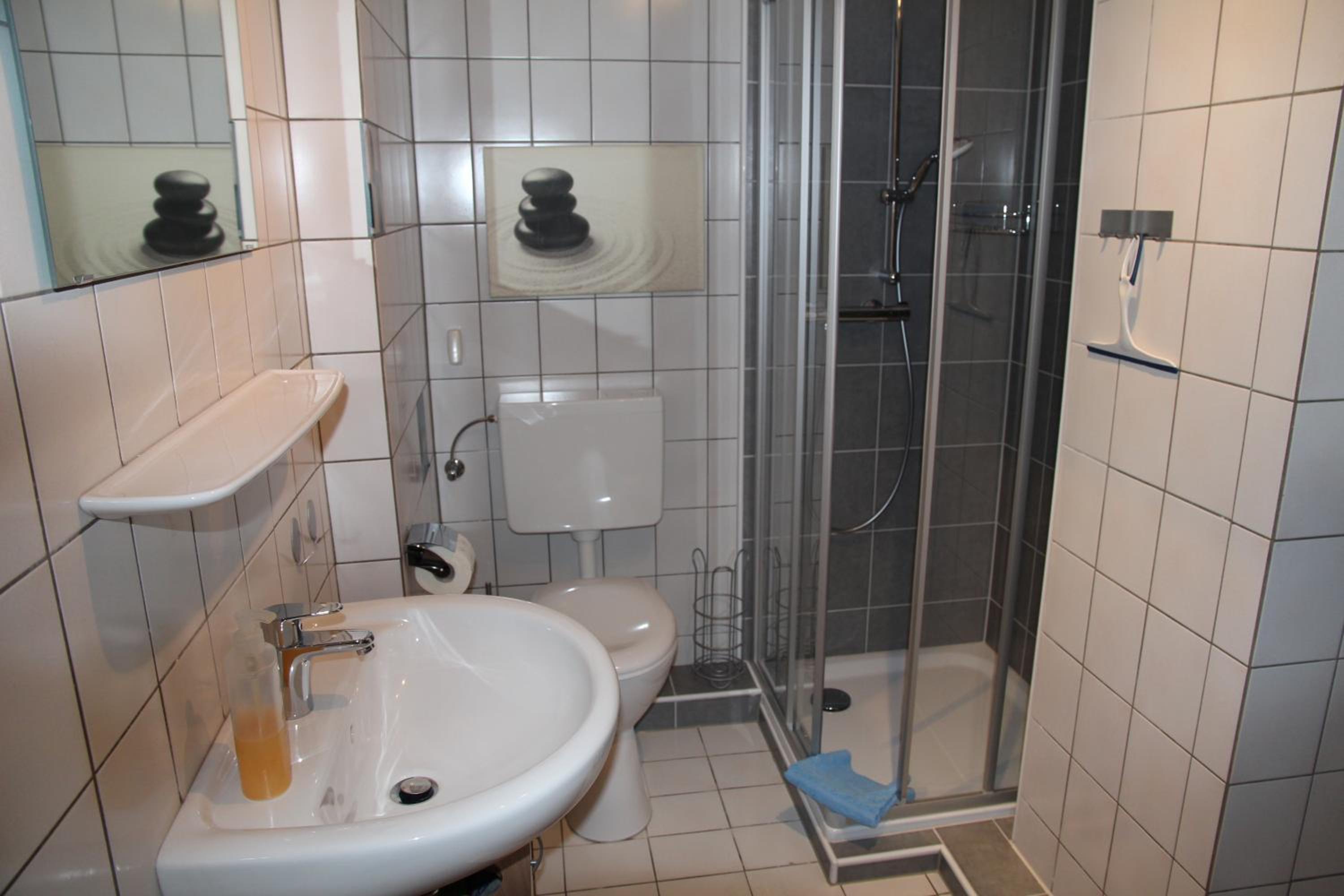 Seeschwalbe