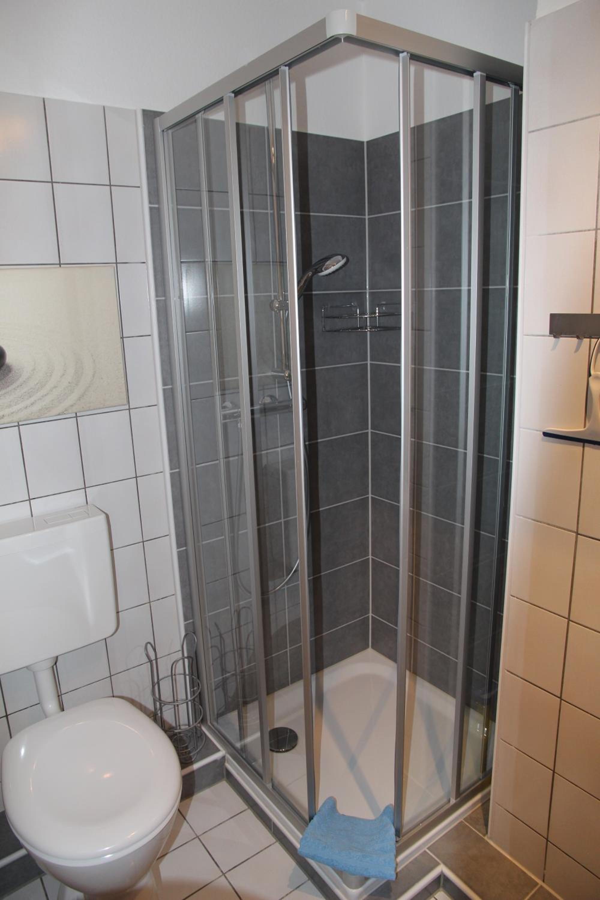 Seeschwalbe