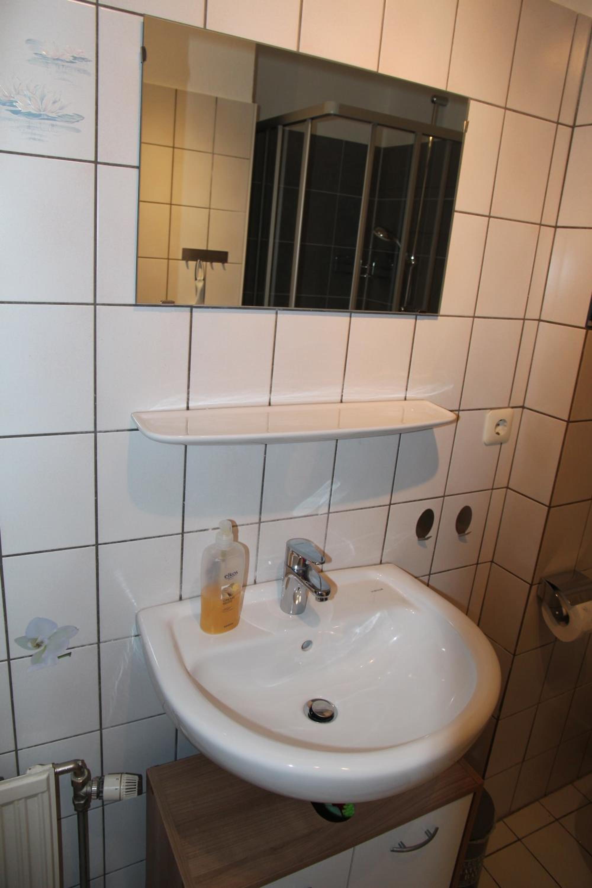 Seeschwalbe
