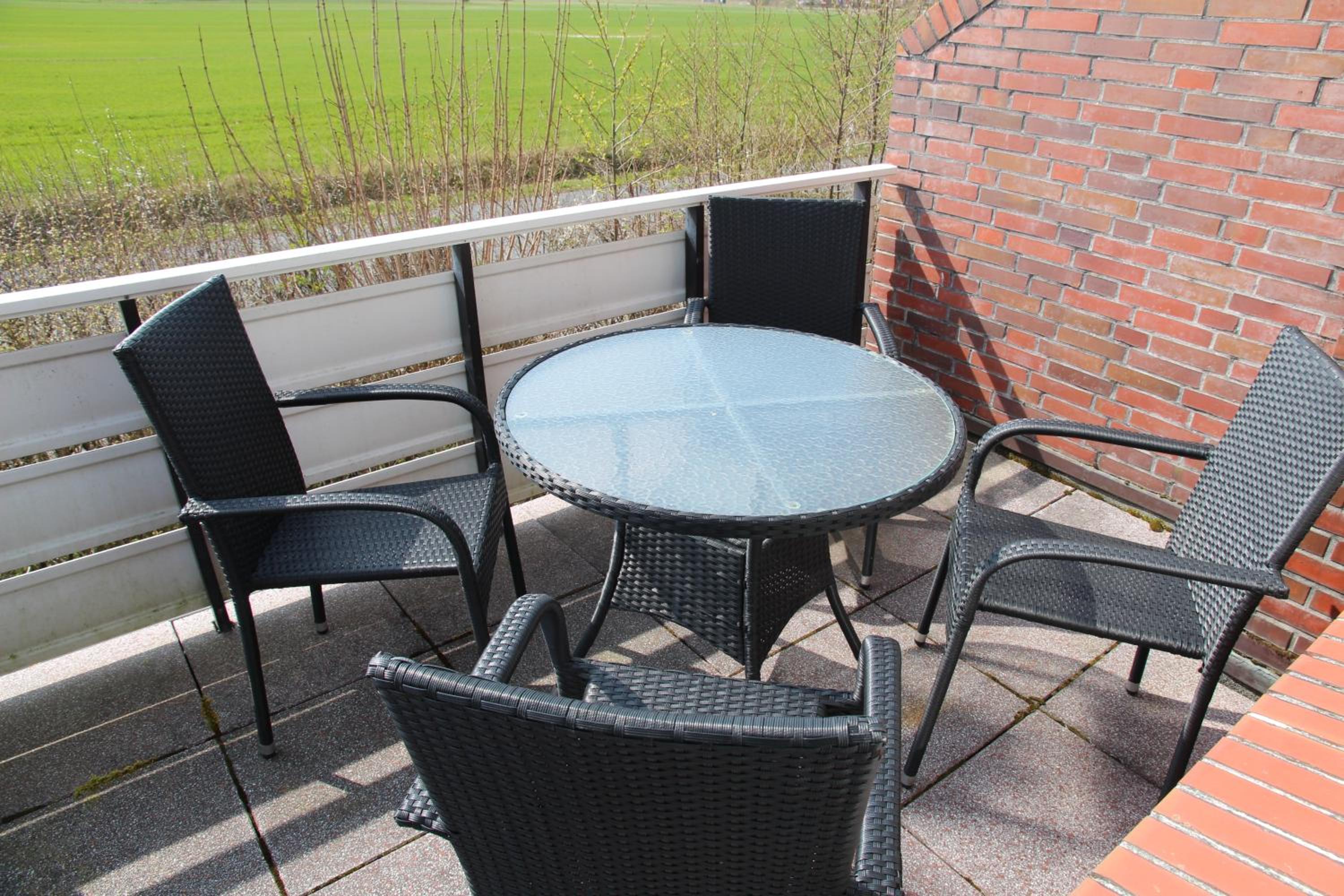 Seeschwalbe
